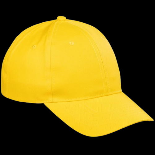 Six Panel Caps