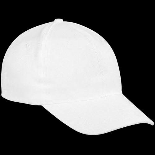 Six Panel Caps