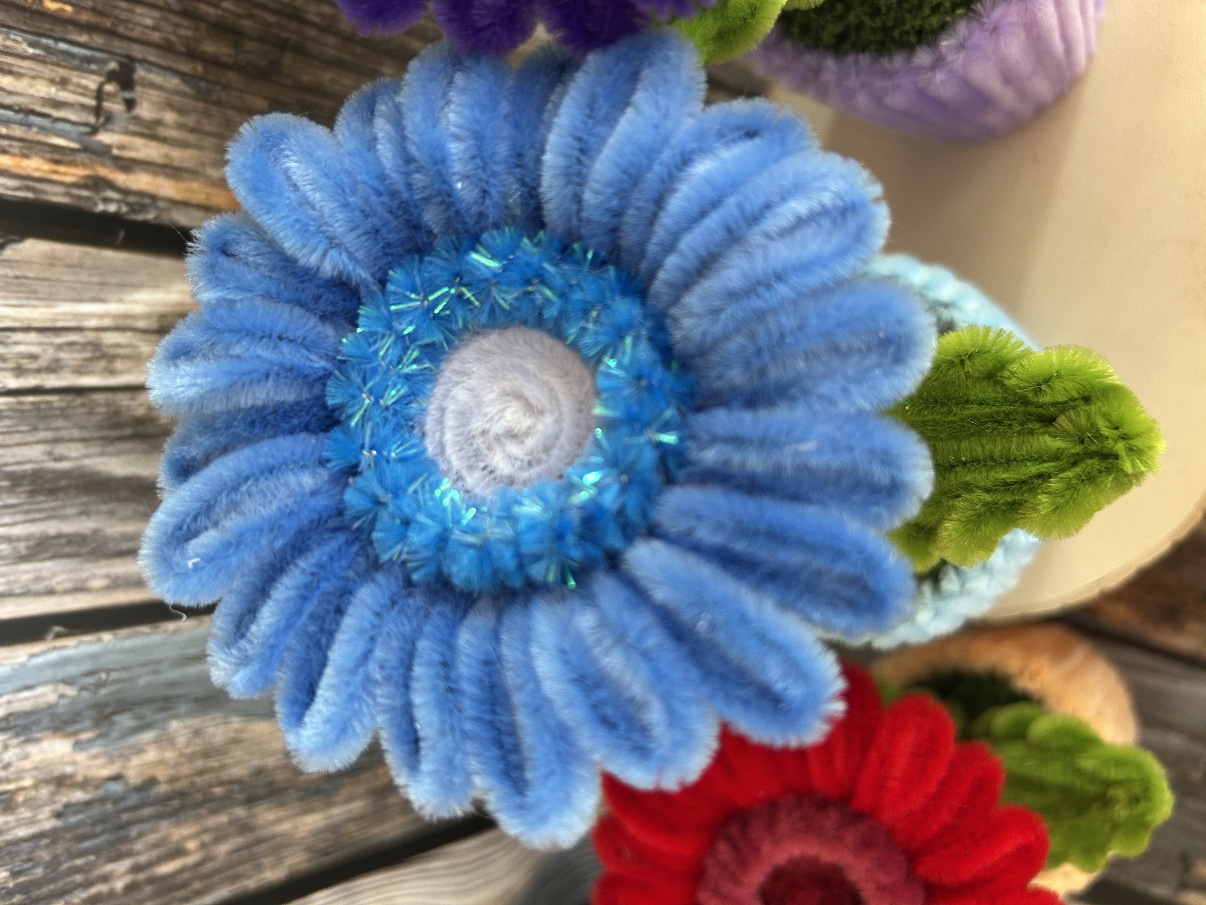 Gerbera petit pot 