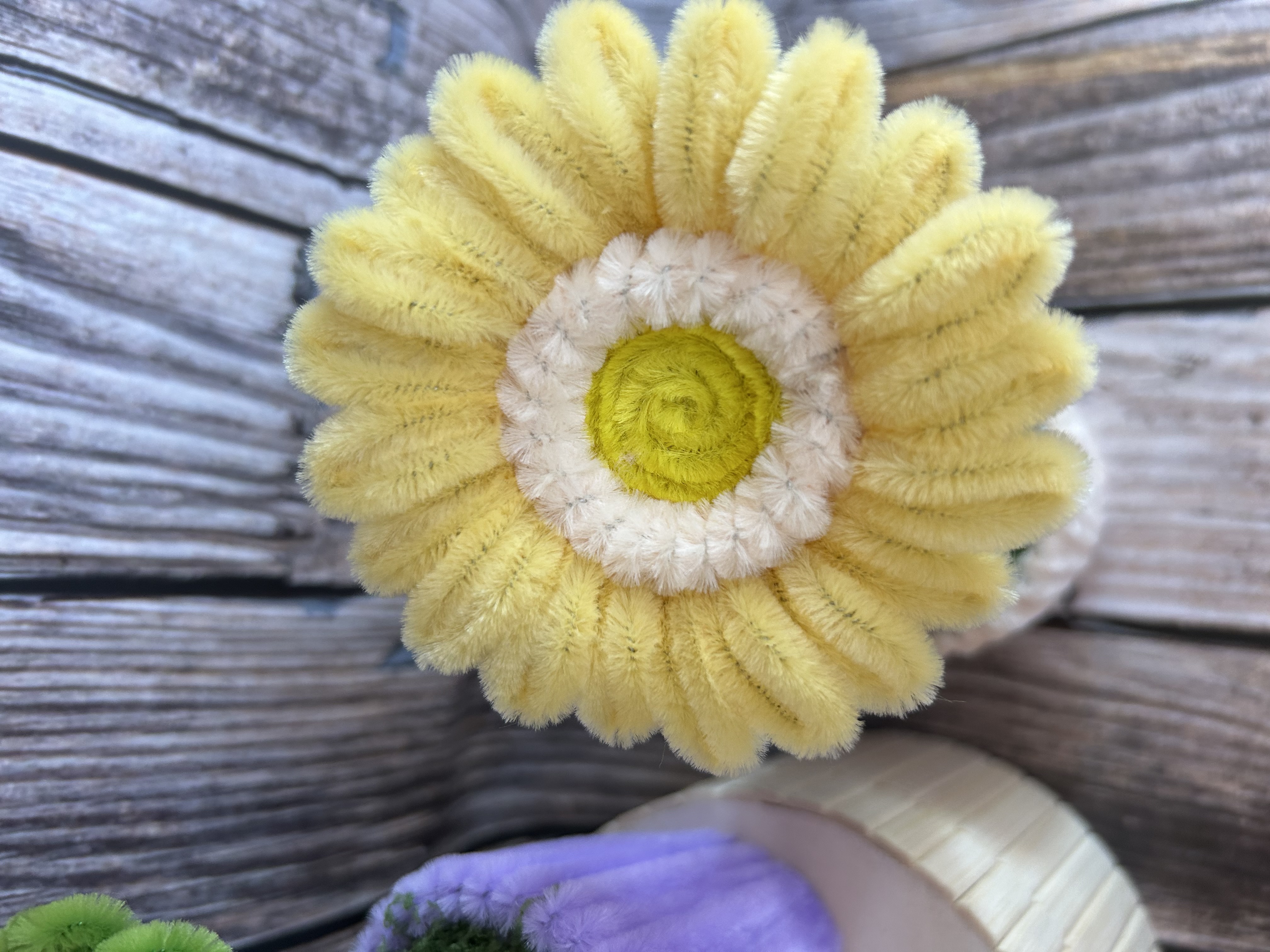 Gerbera petit pot 