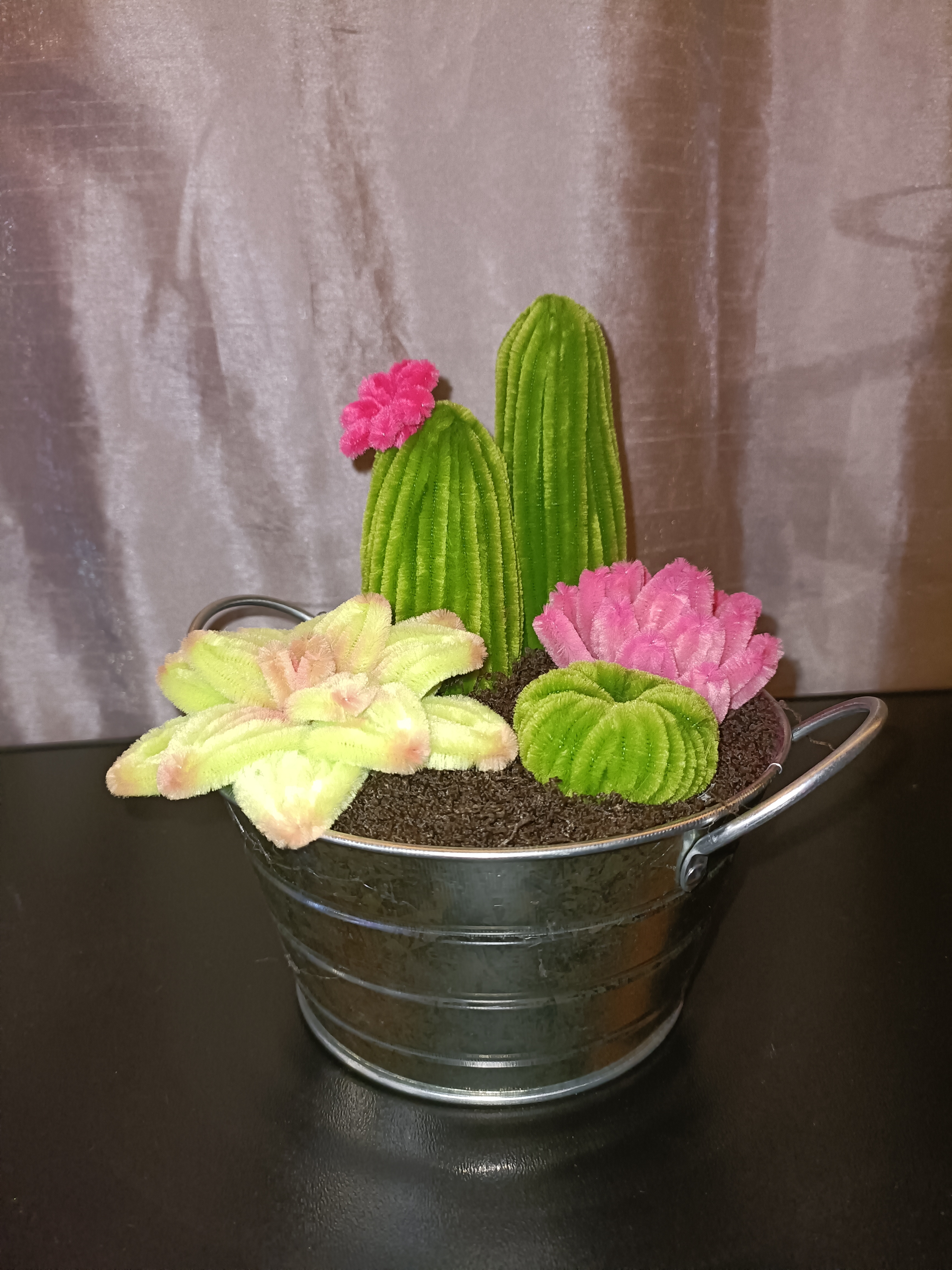Composition de cactus