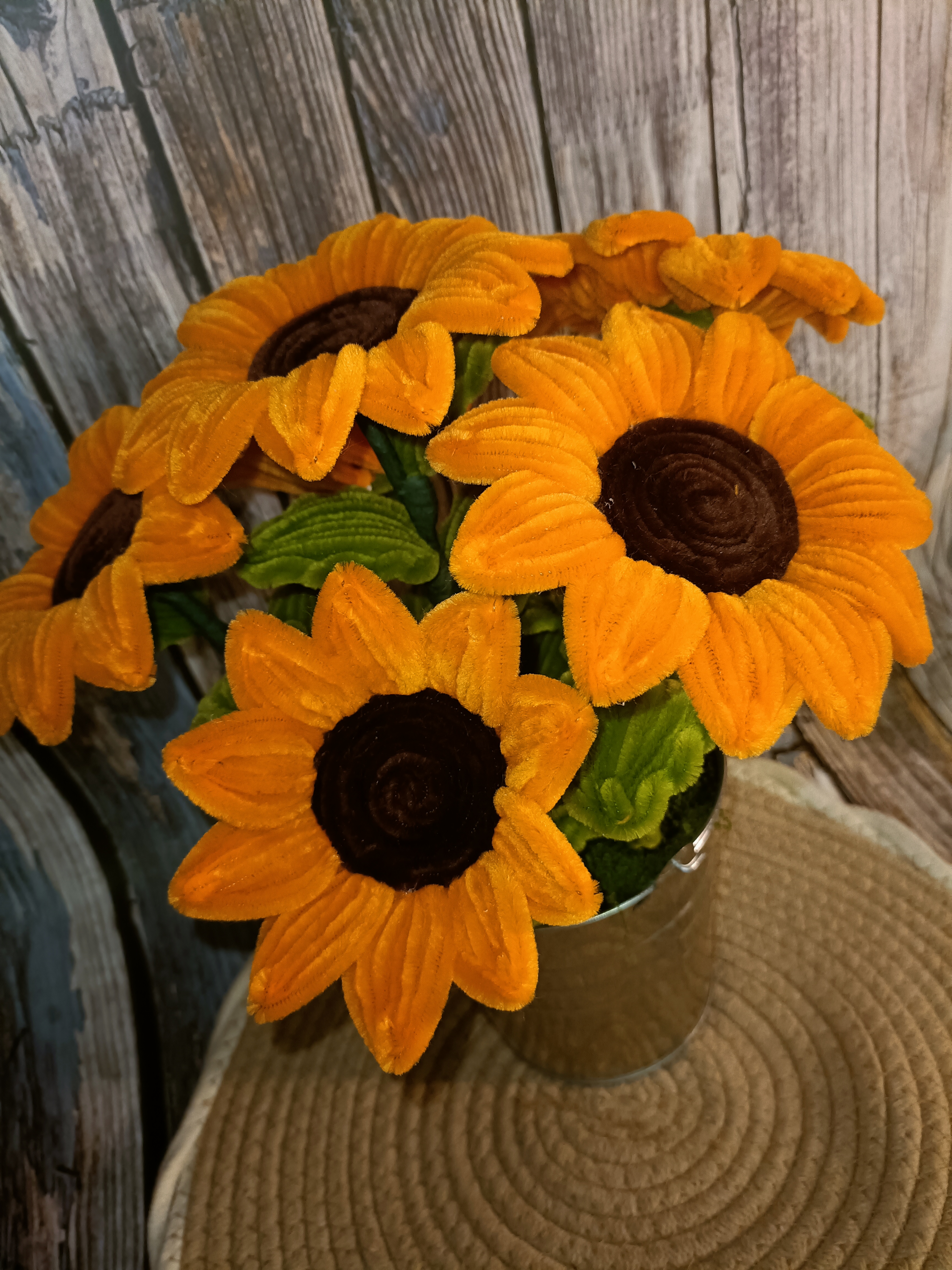 Plante Tournesol 