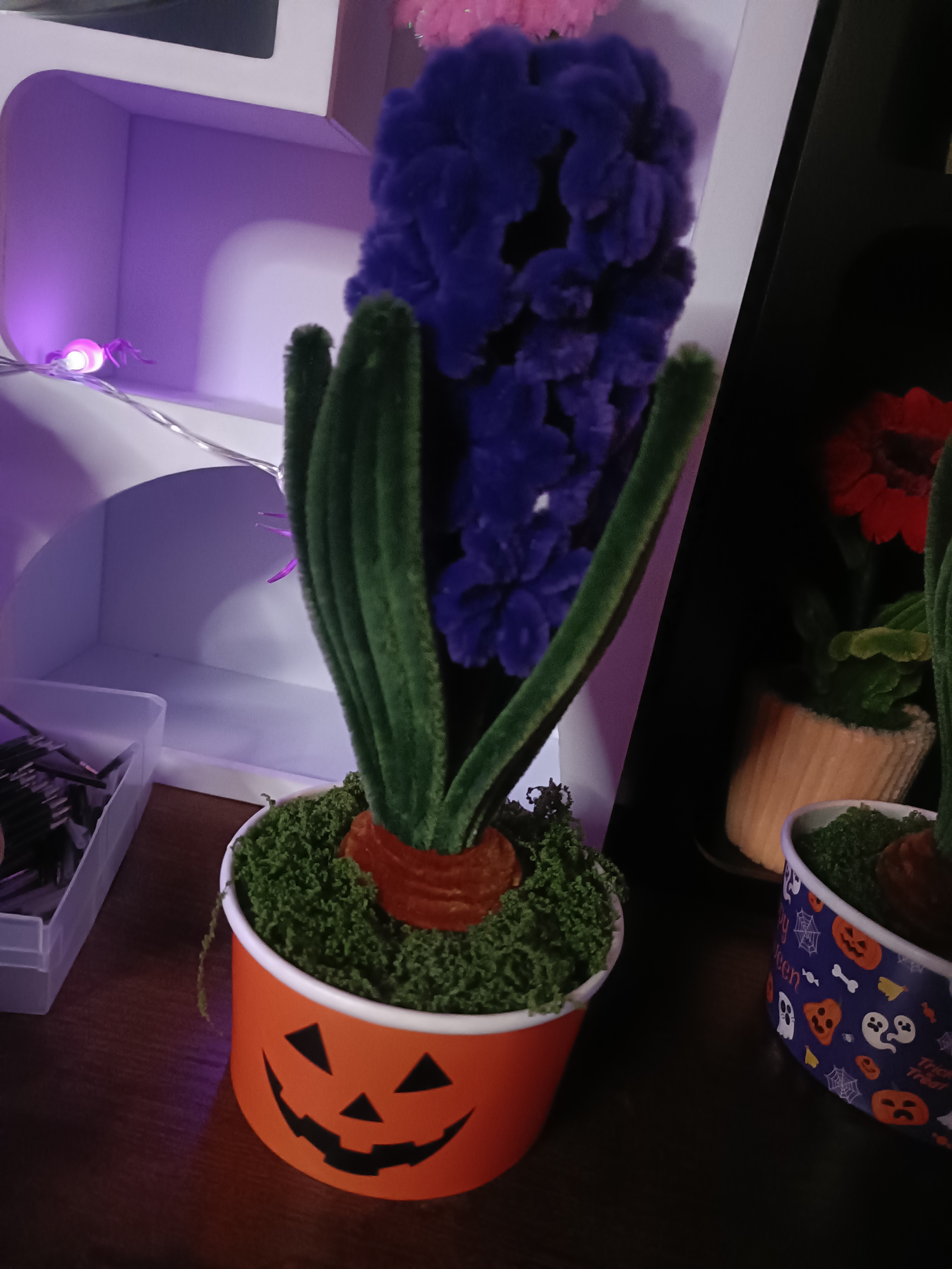 Jacinthes Halloween 