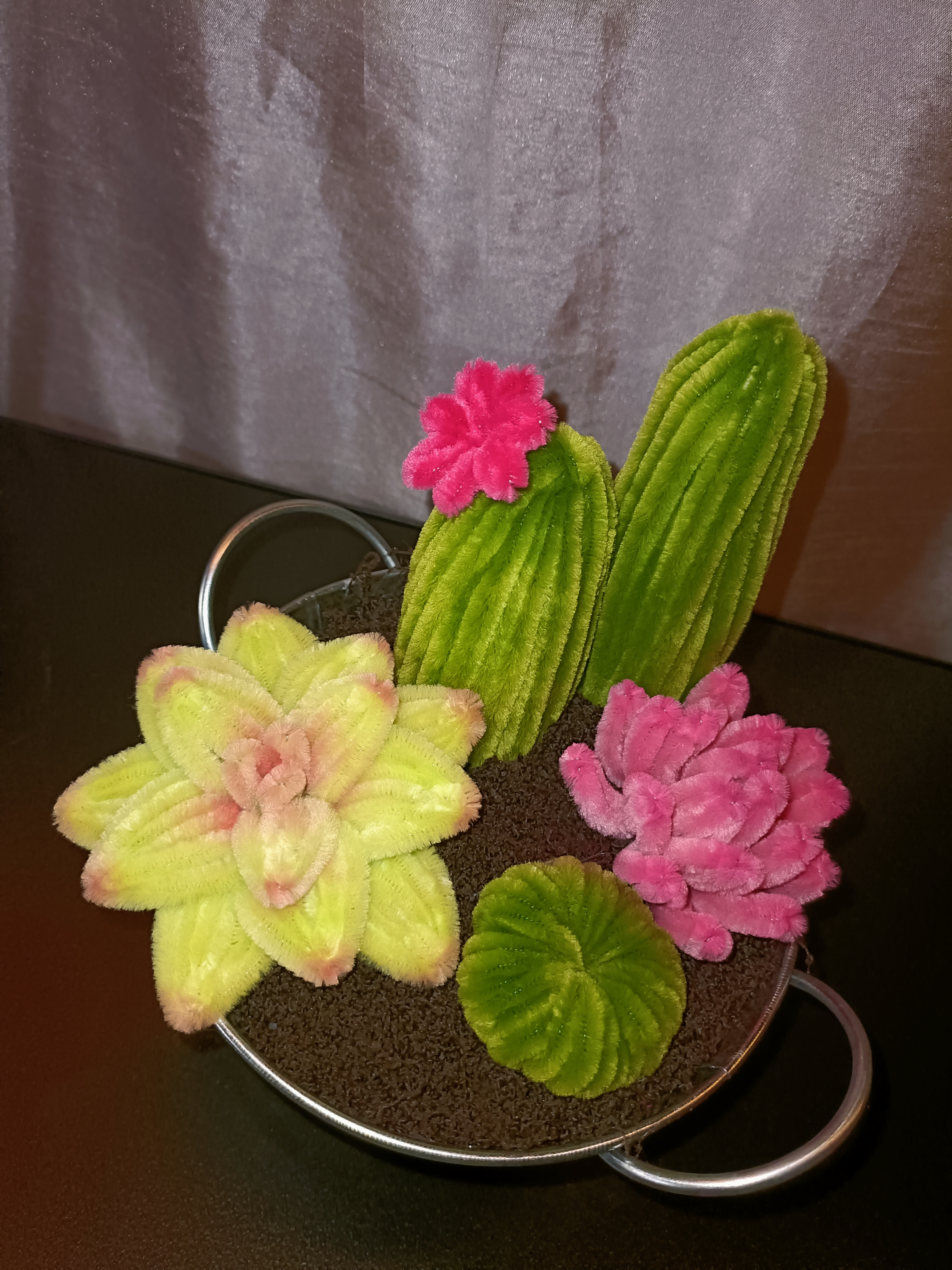 Composition de cactus 