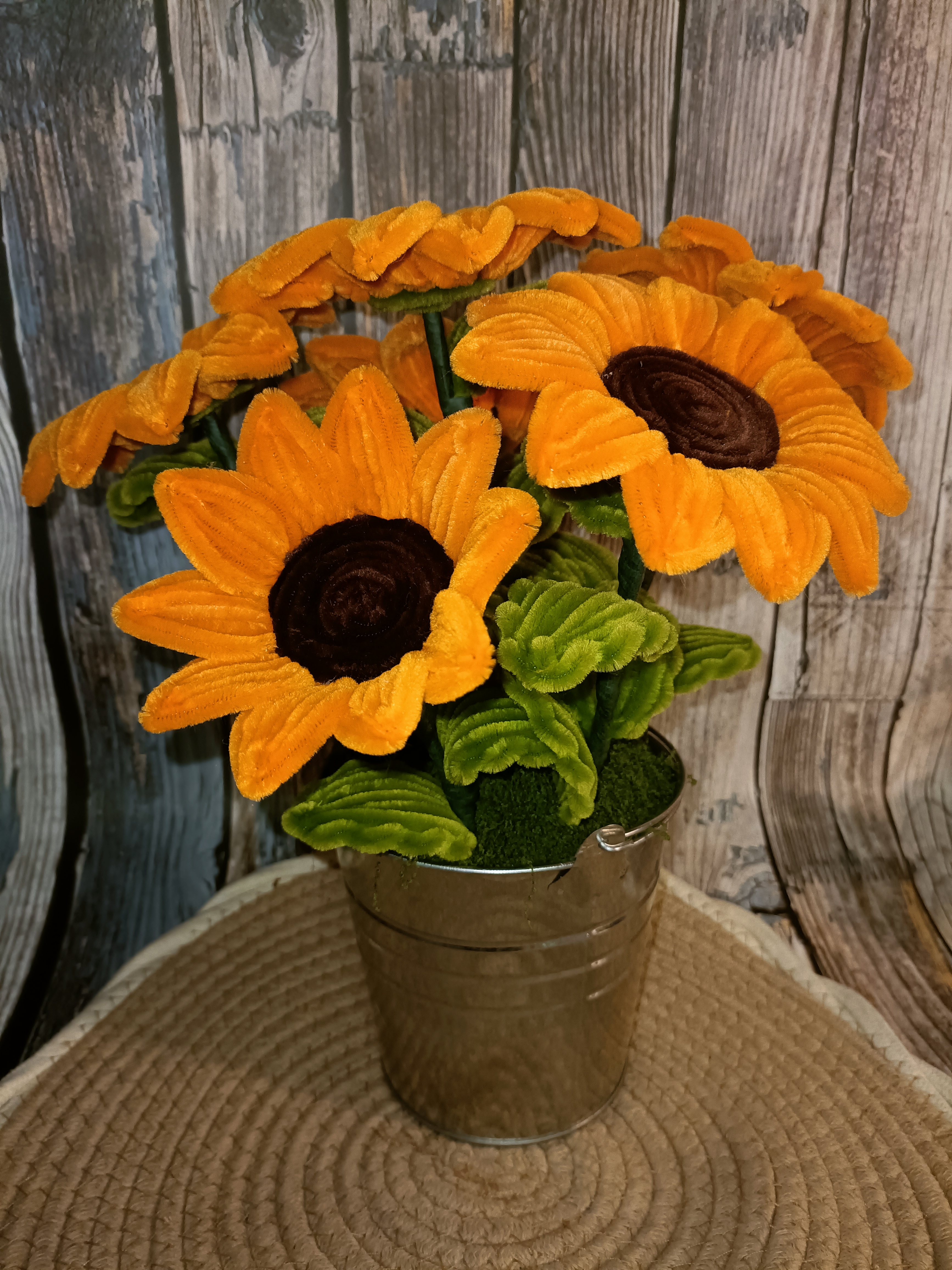Plante Tournesol 