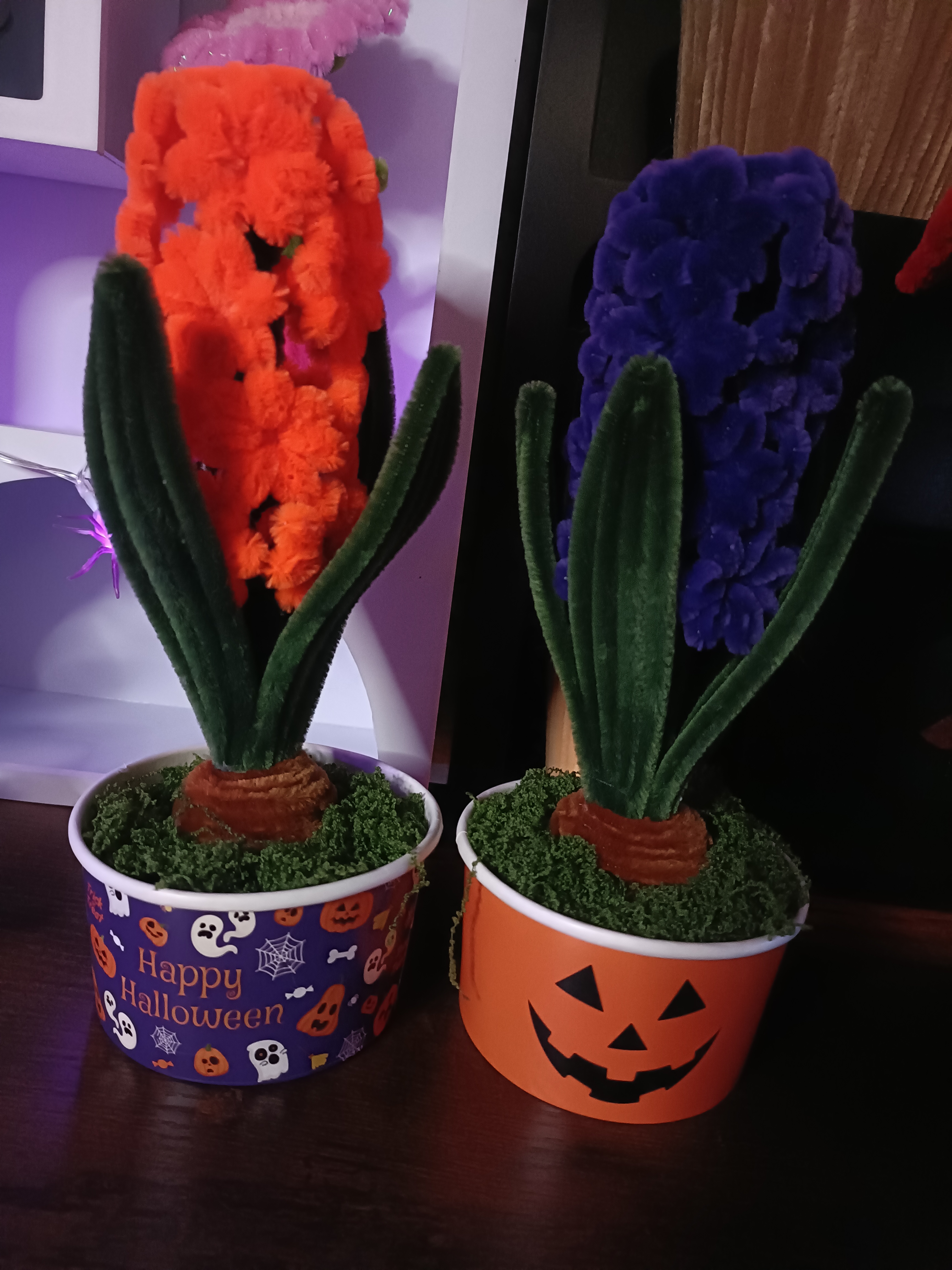 Jacinthes Halloween 