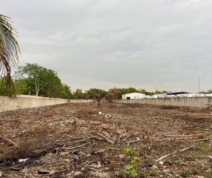 🏭✨ Terreno Comercial en Renta en Cancún ✨🏭