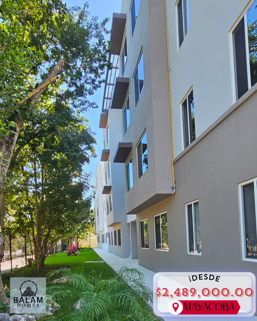 🏡✨ playa del carmen real estate condos for sale ✨🏢 ciudad mayacoba 