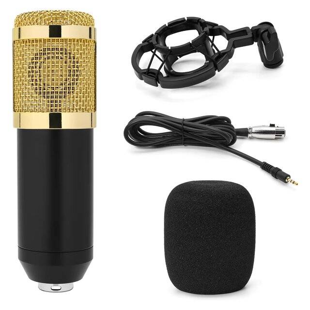 Pro Mic Studio Microphone