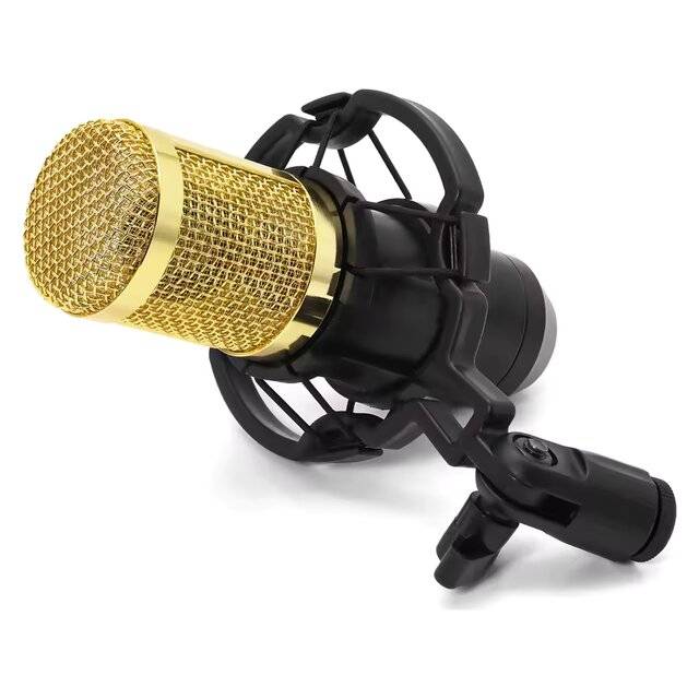Pro Mic Studio Microphone