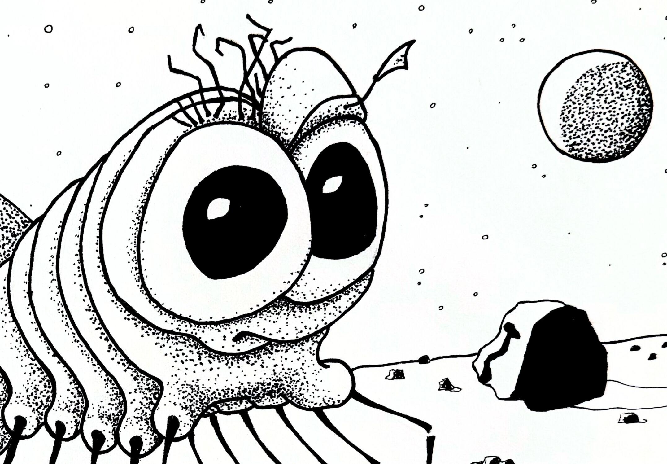 Color Me Strange, Color Me Wild