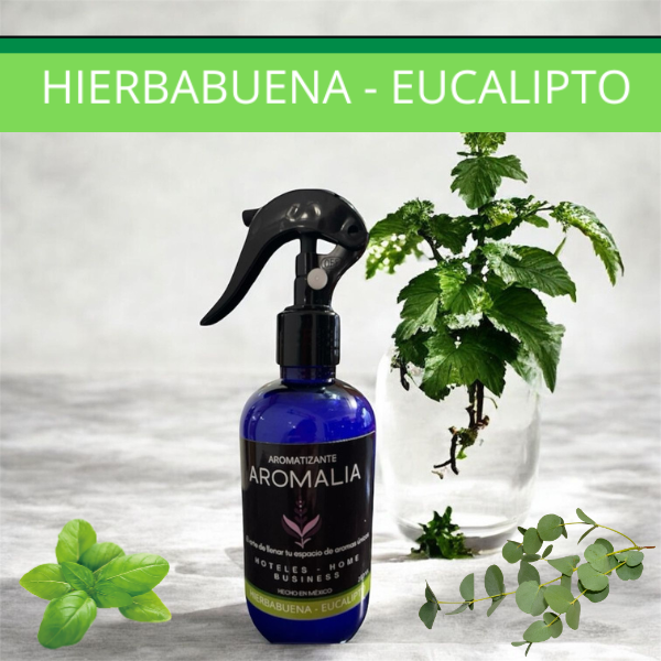 Hierbabuena-Eucalipto