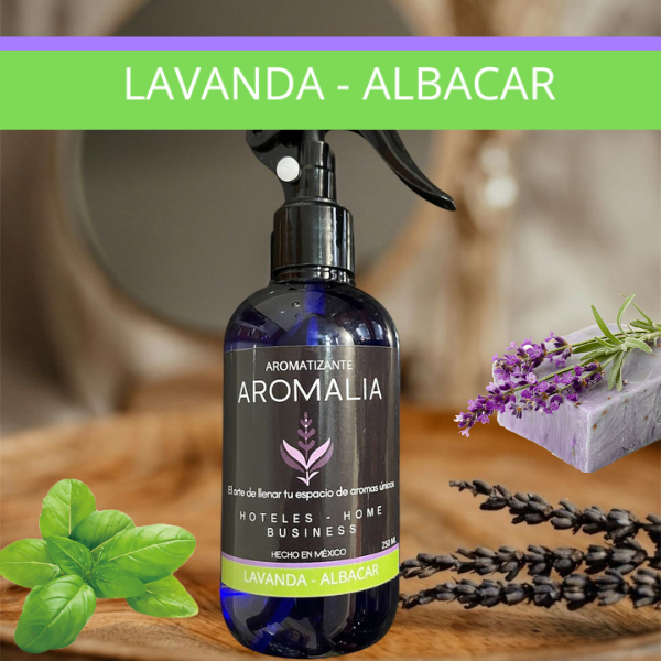 Lavanda - Albacar