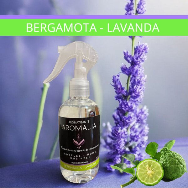 Bergamota - Lavanda