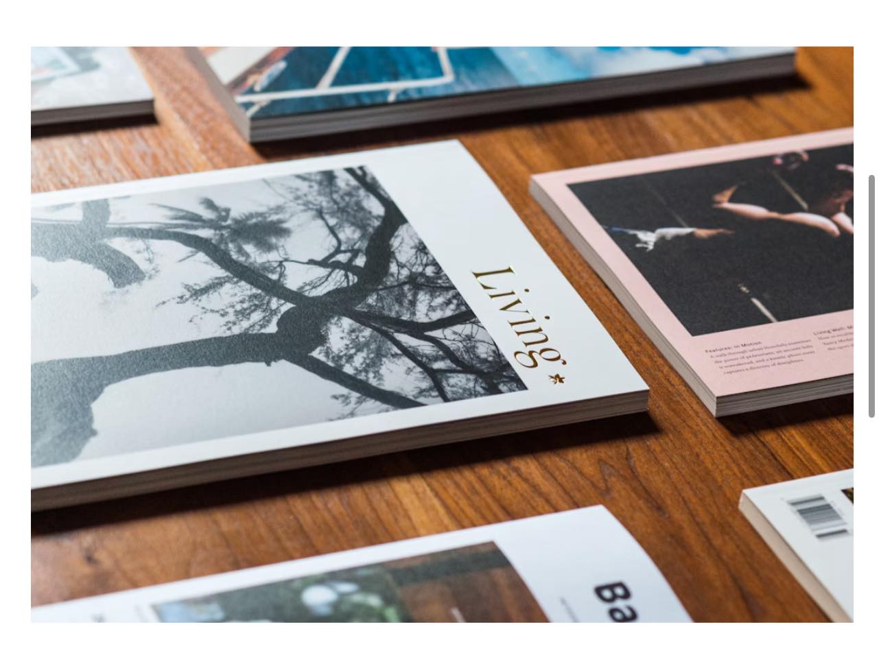 Magazine/Newsletter Design