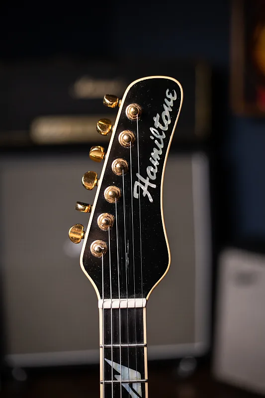 Hamiltone Owned by Matt "Guitar" Murphy