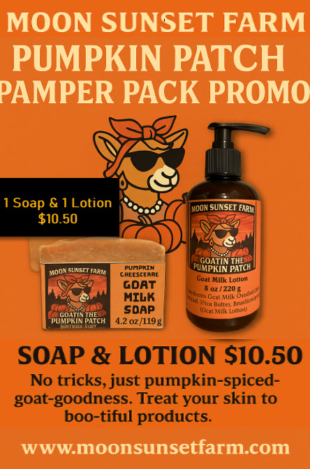Pumpkin Patch Pamper Pack Promo (1-Pumpkin Soap & 1-Pumpkin 8 oz Lotion)