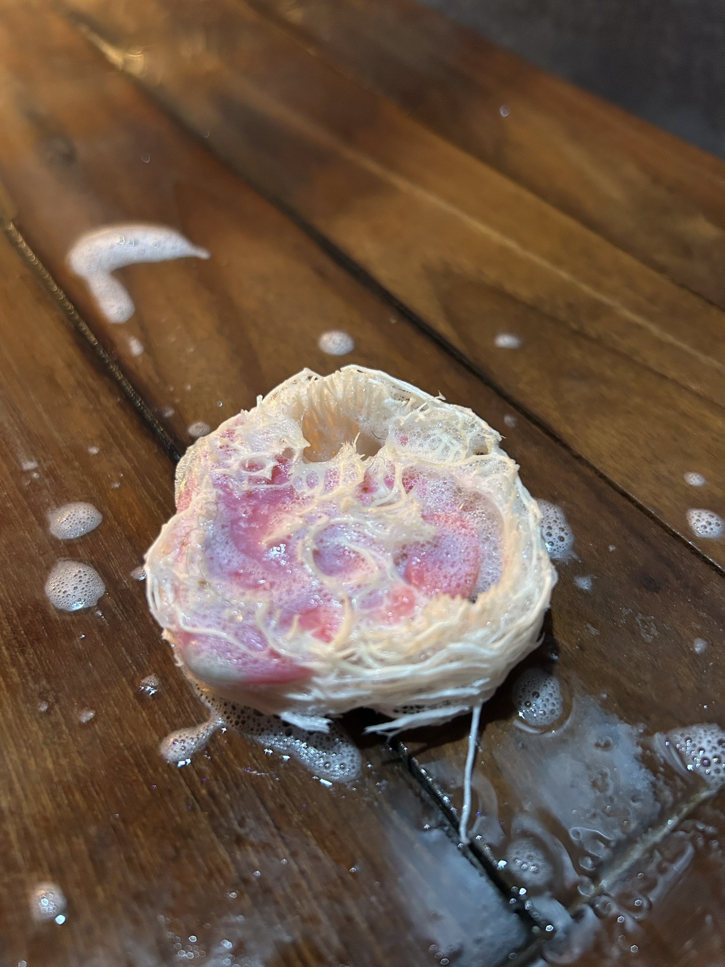 Luffa'n In the Oats Goat Milk Soap with a Luffa inside