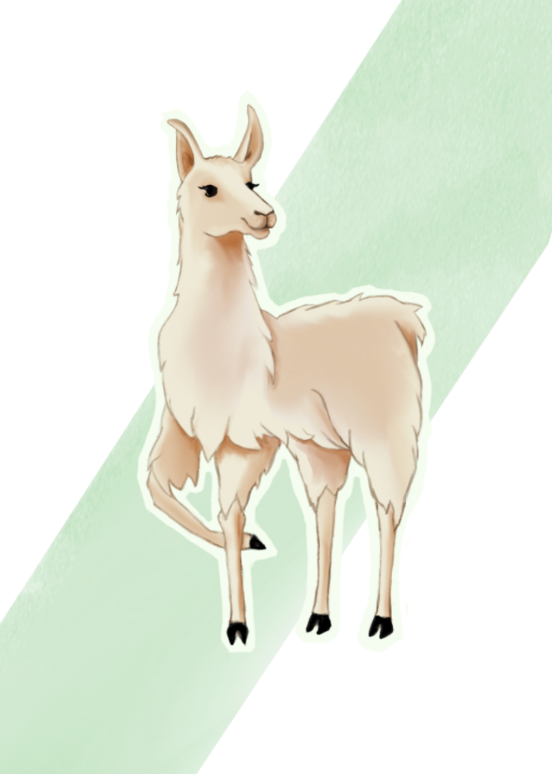 Lama