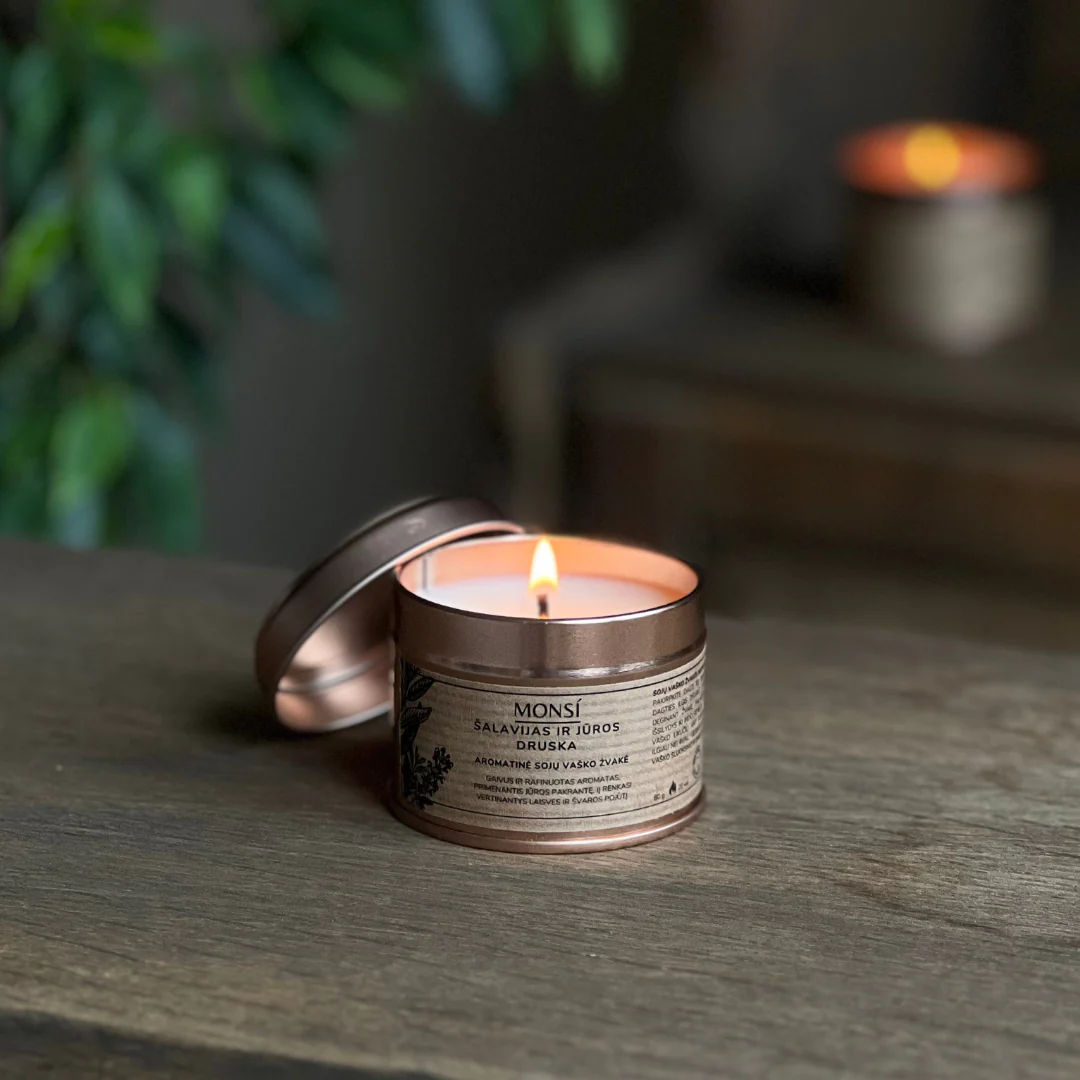 Sojų vaško žvakė - Šalavijas ir jūros druska (100ml)