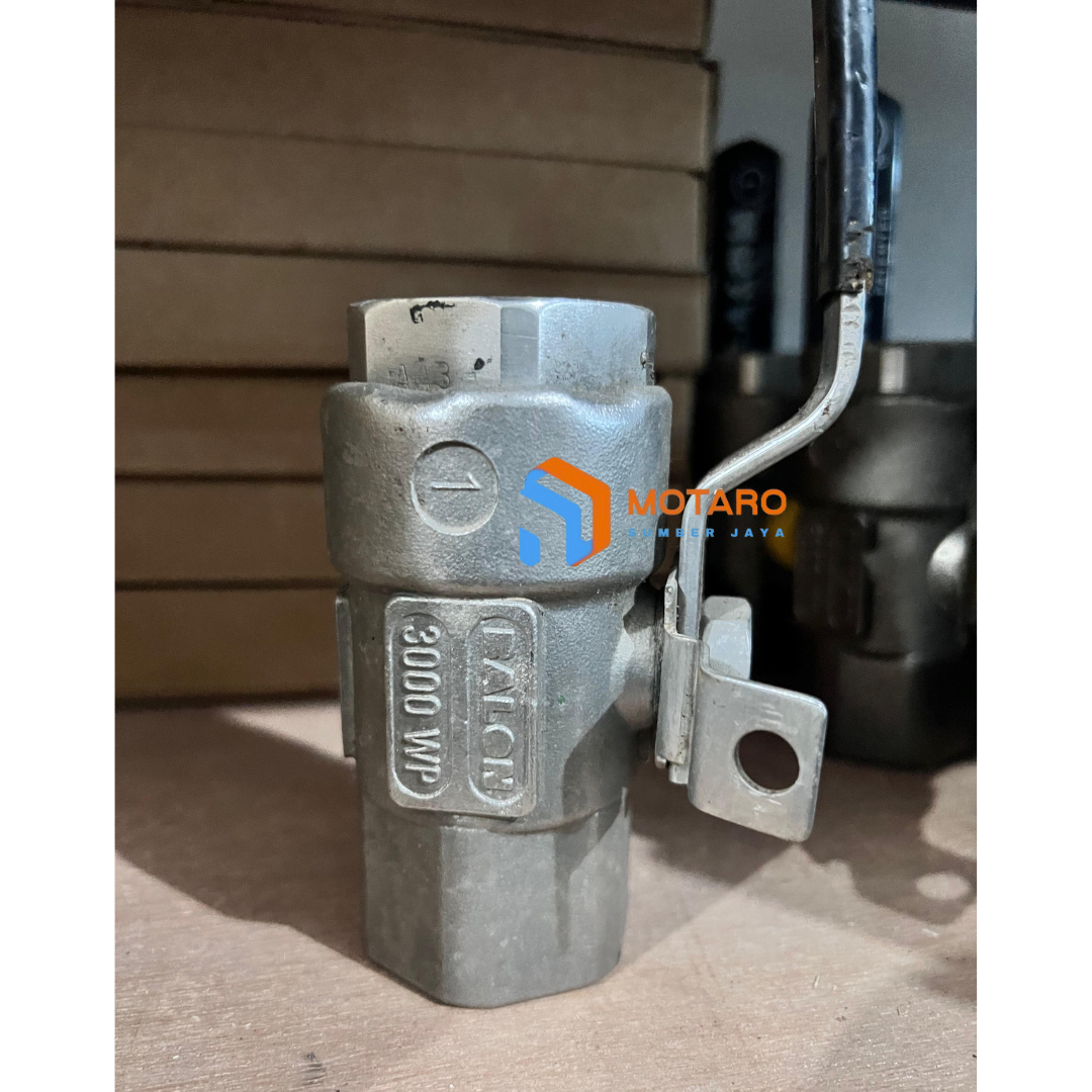 Supplier - Balon Threaded Ball Valve 316SS 3000WP