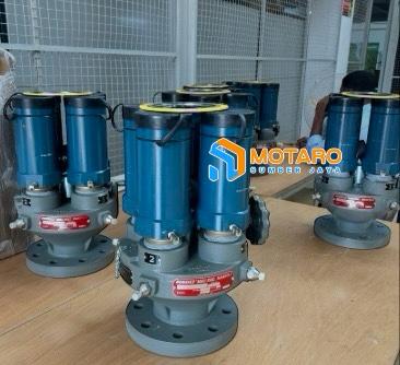 Rego A8574AG Series Multi-Port Pressure Relief Valve