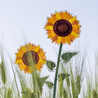 FUNNY FLOWERS - Girasole Grande