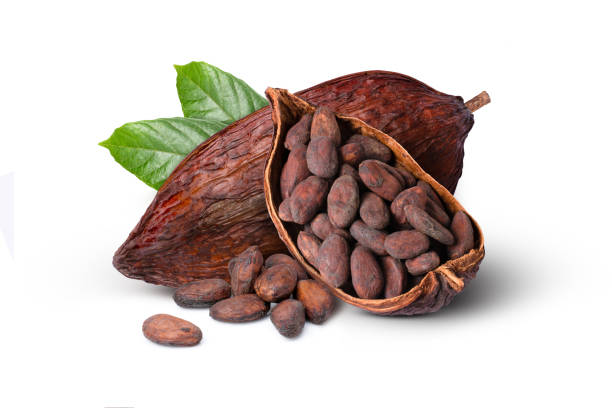 Cocoa Beans