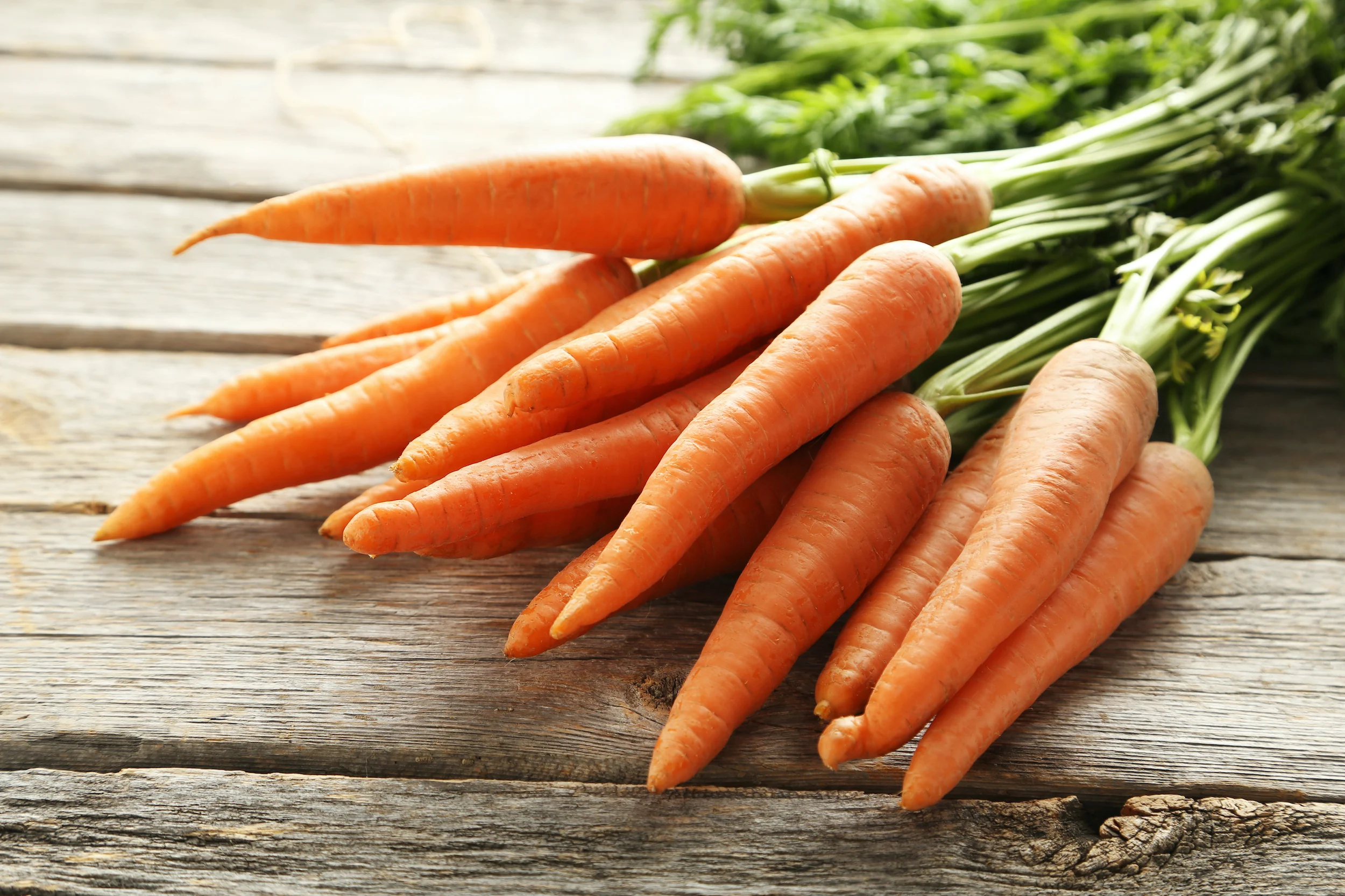 Fresh Carrots