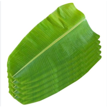 Banana Leaves
