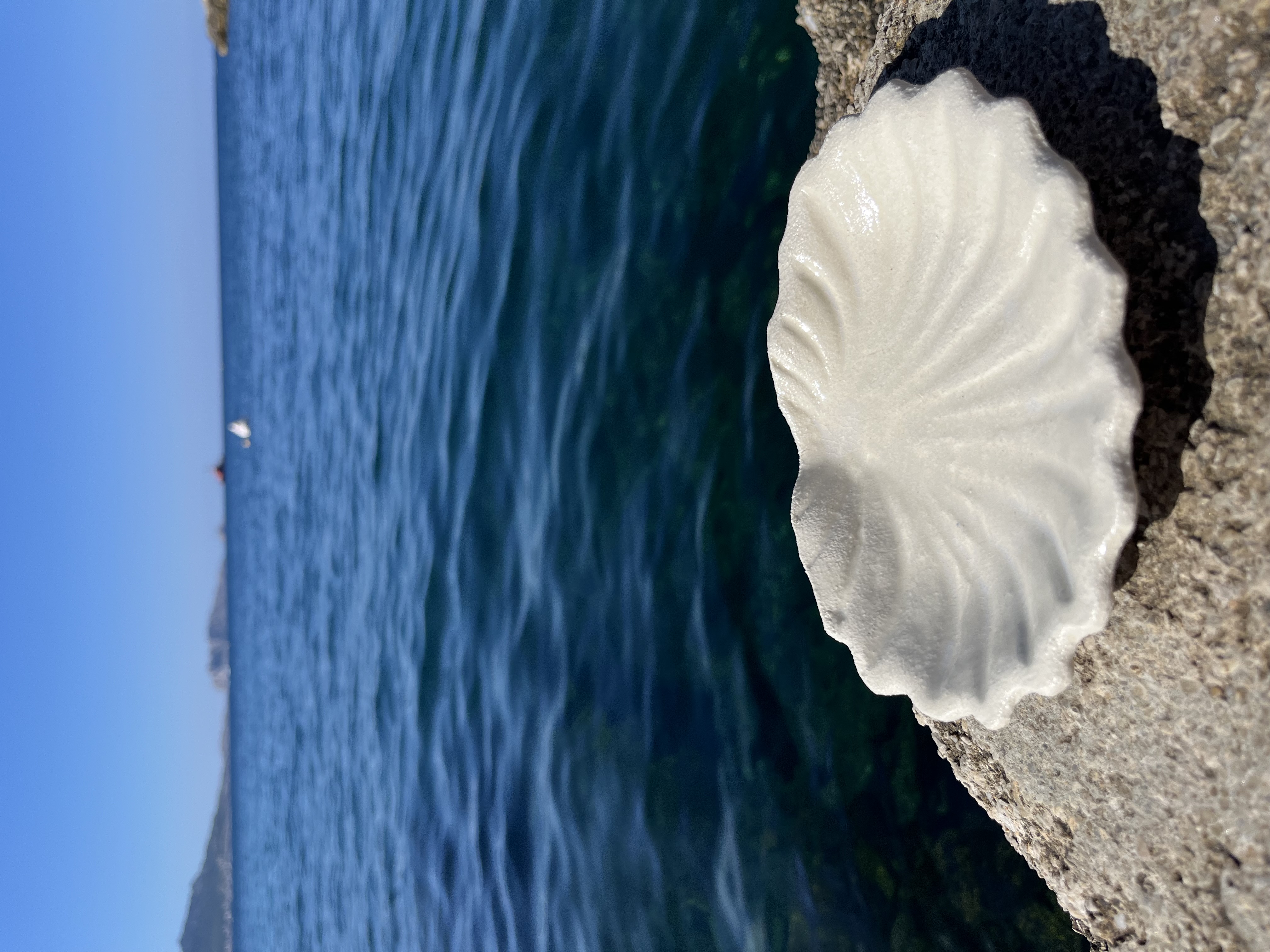 Coupelle VENUS