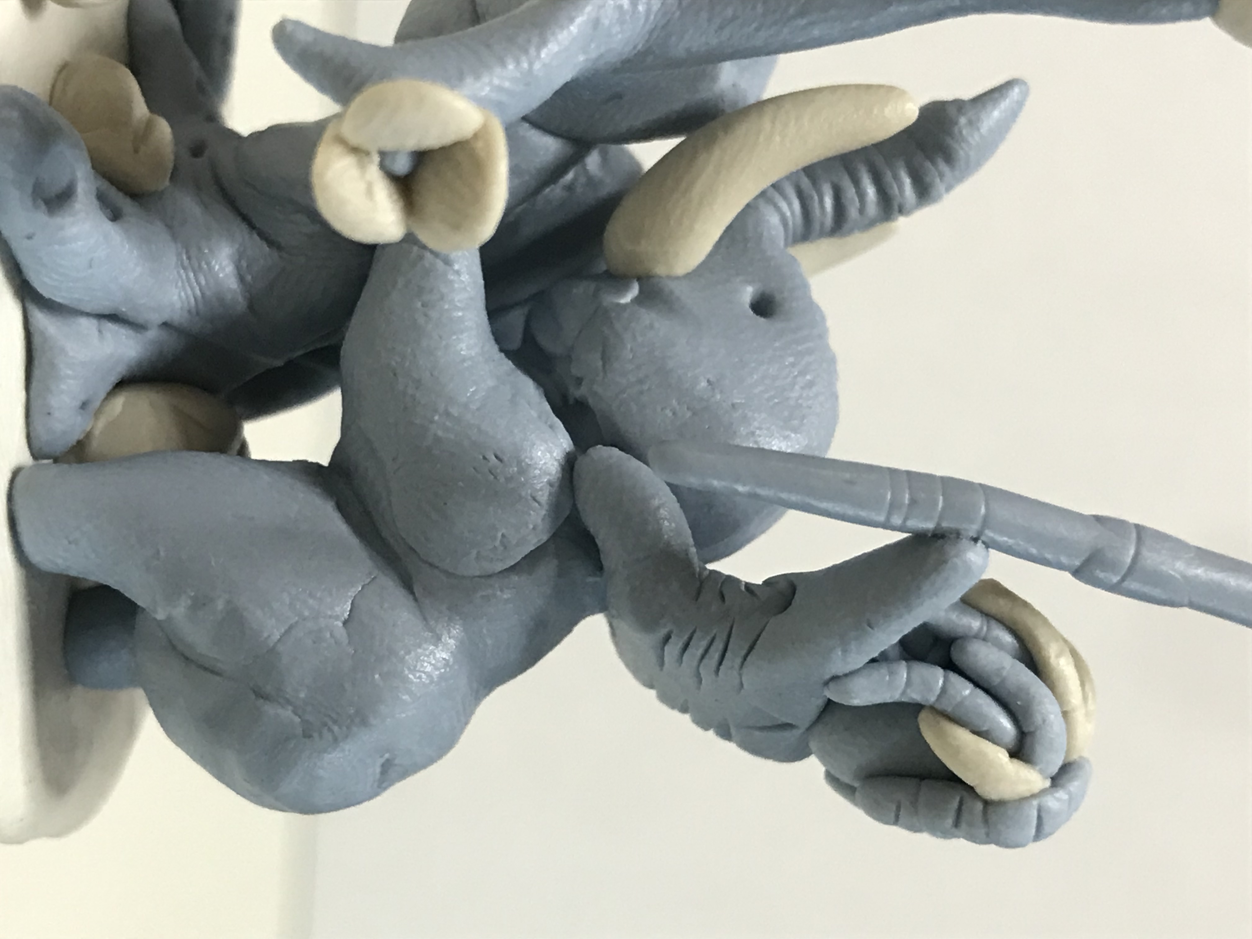 éléphant à l'arbre