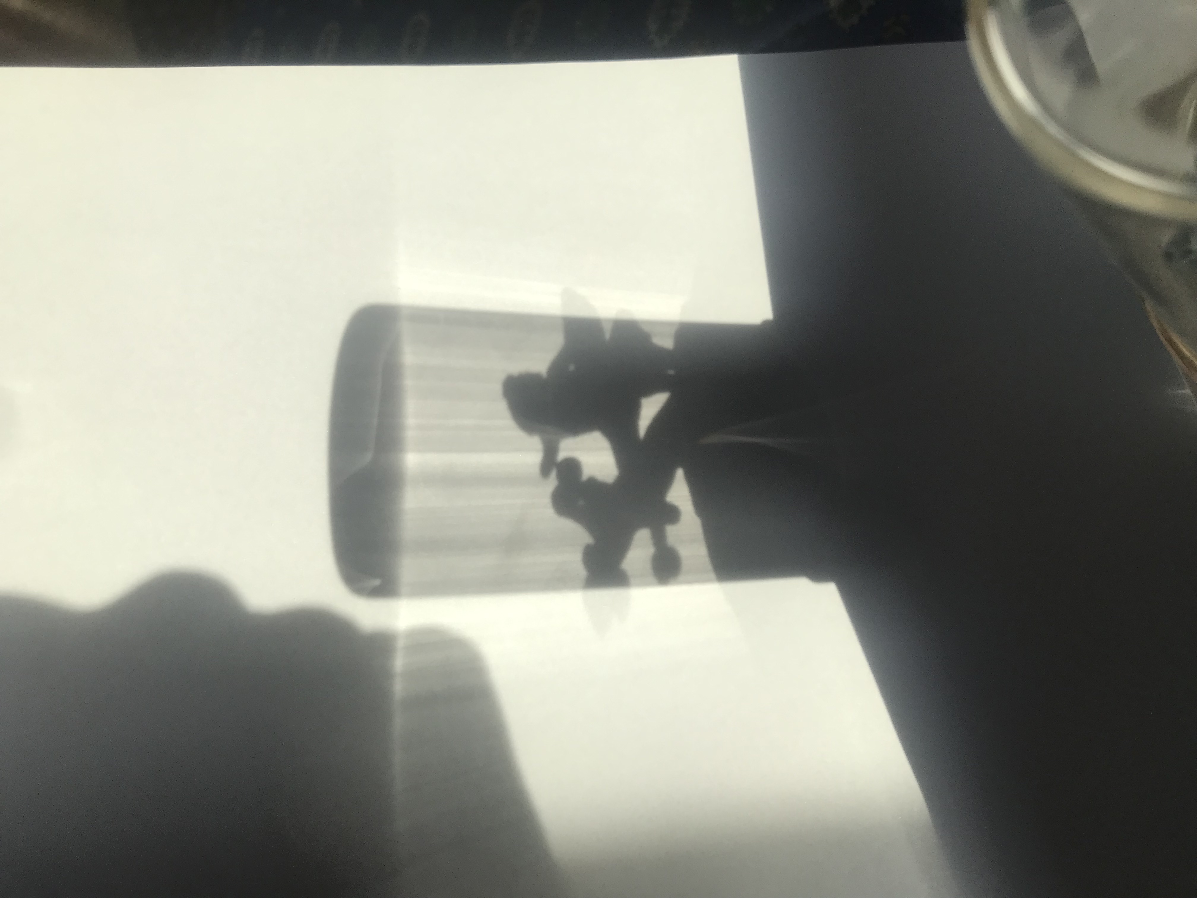 Le centaure Nessus enlevant Déjanire