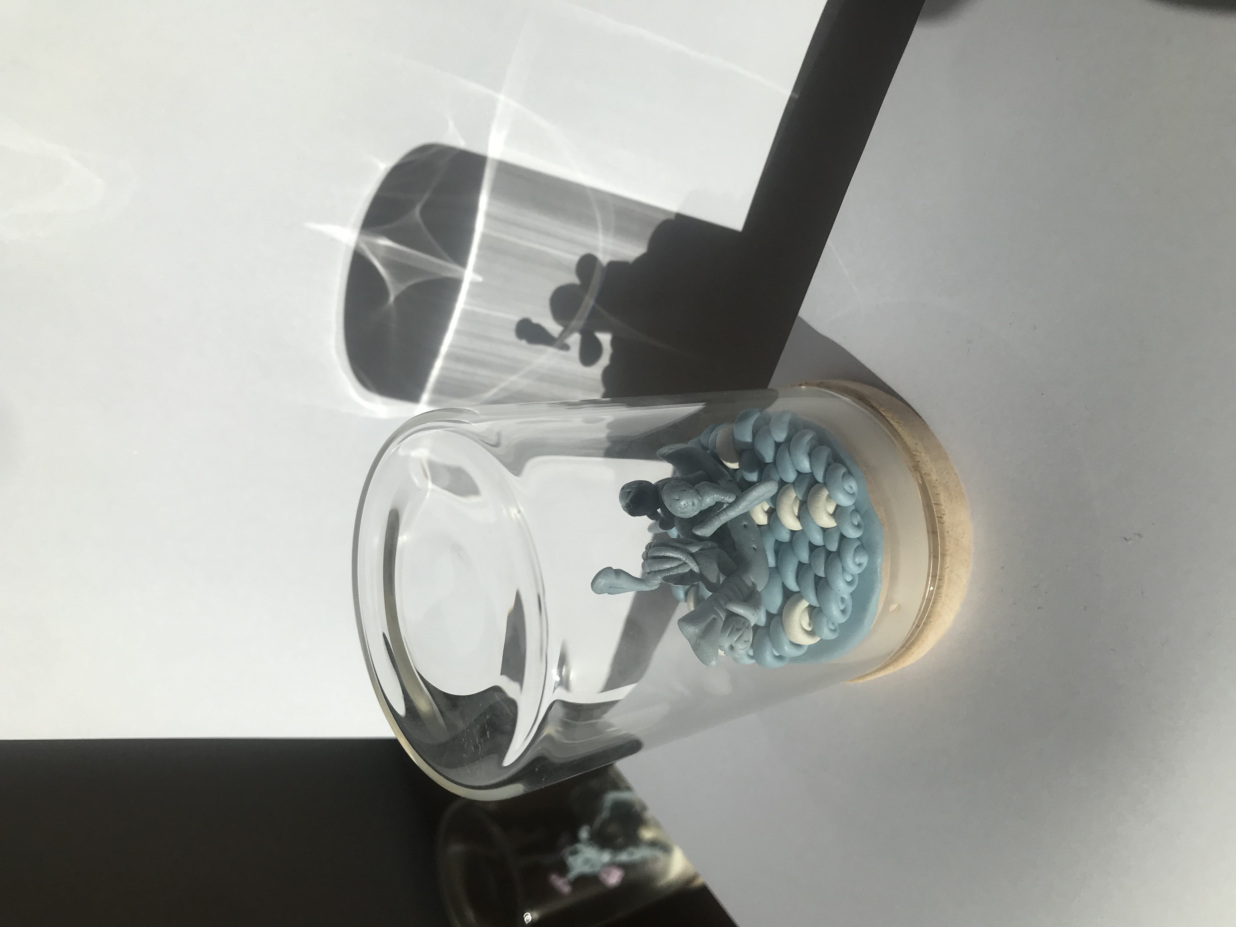 Pirogue Polynésienne