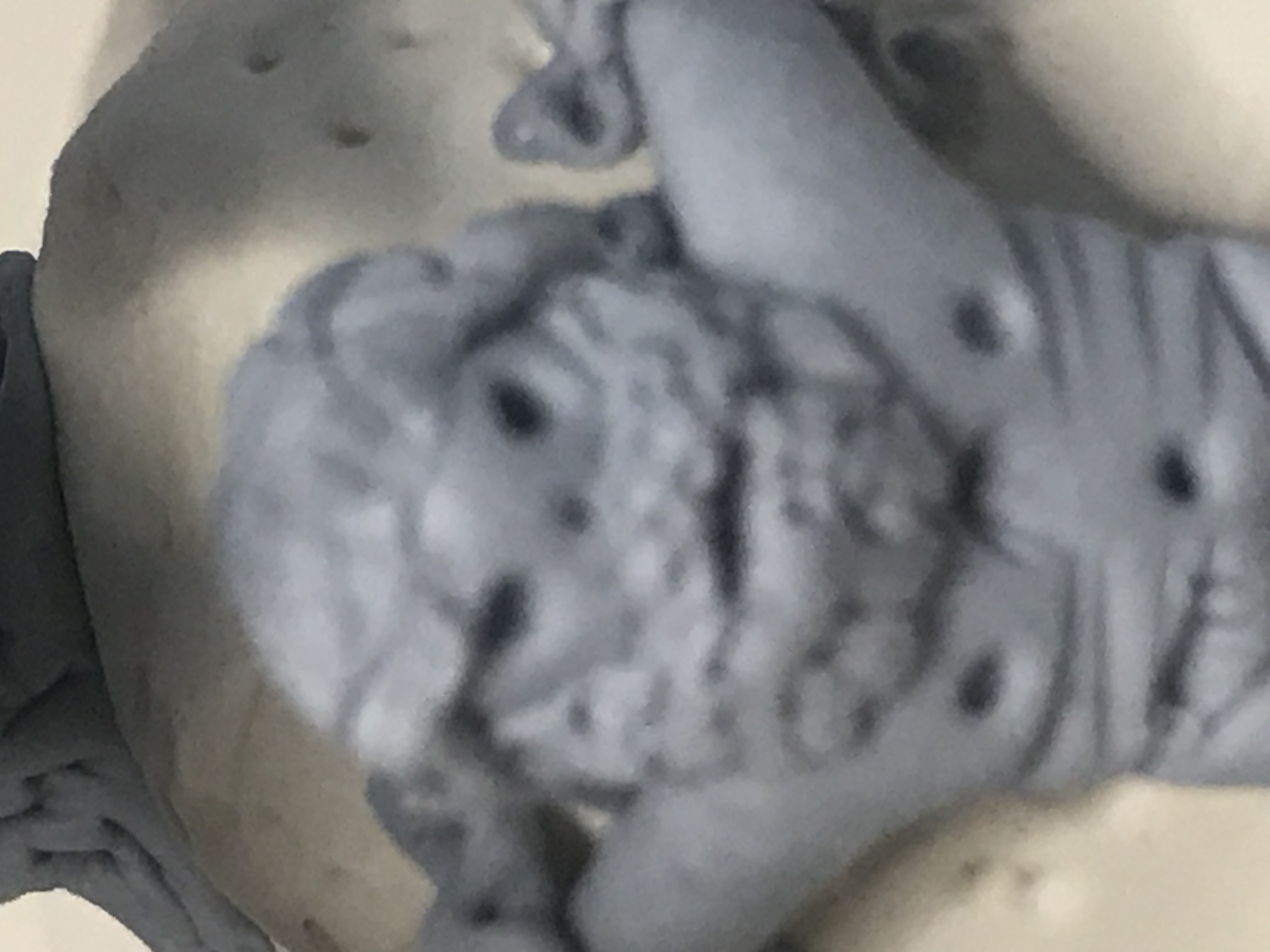 Prométhée enchaîné