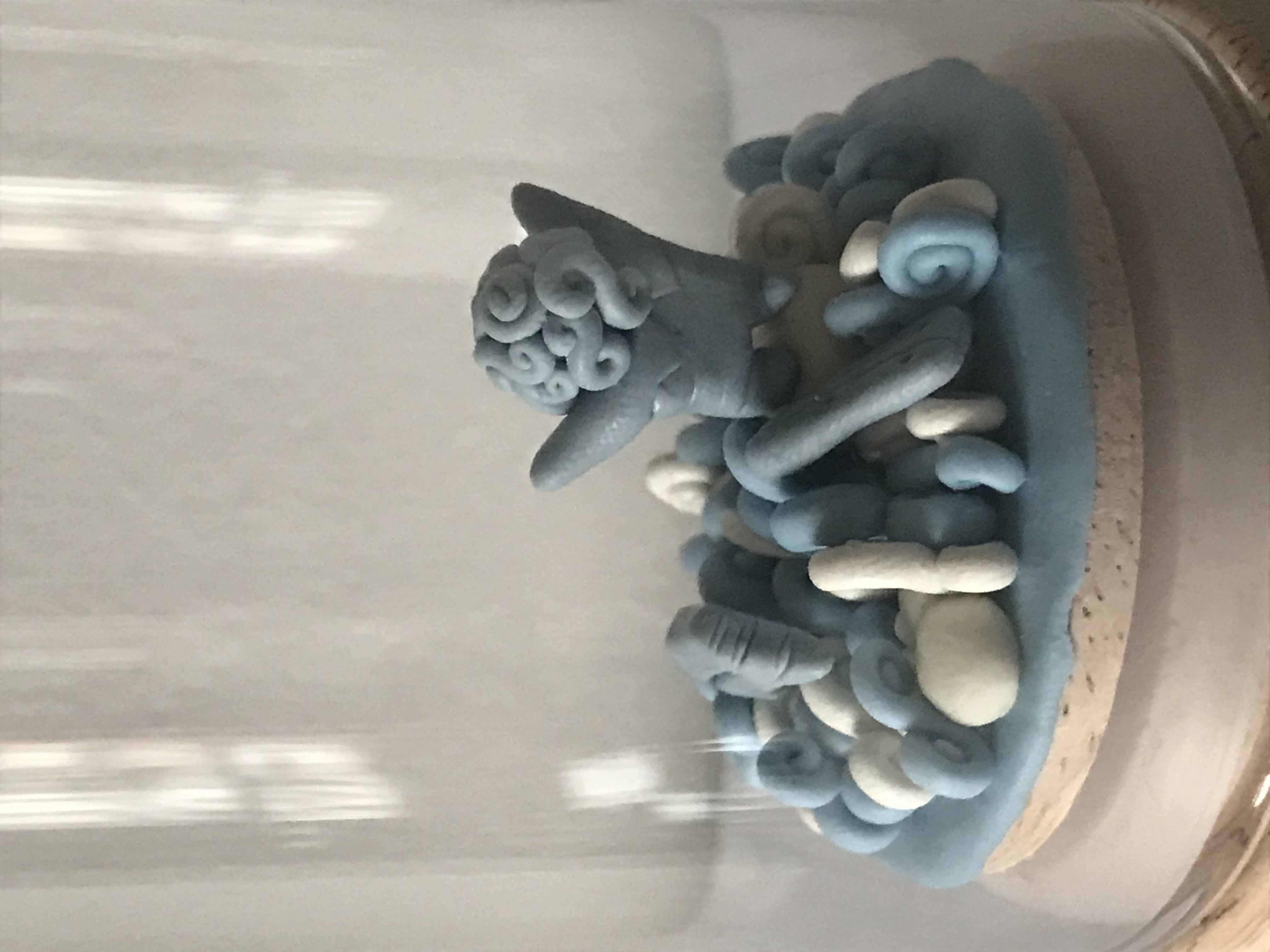 Le naufragé sauvé ou "voeux d'ex voto"