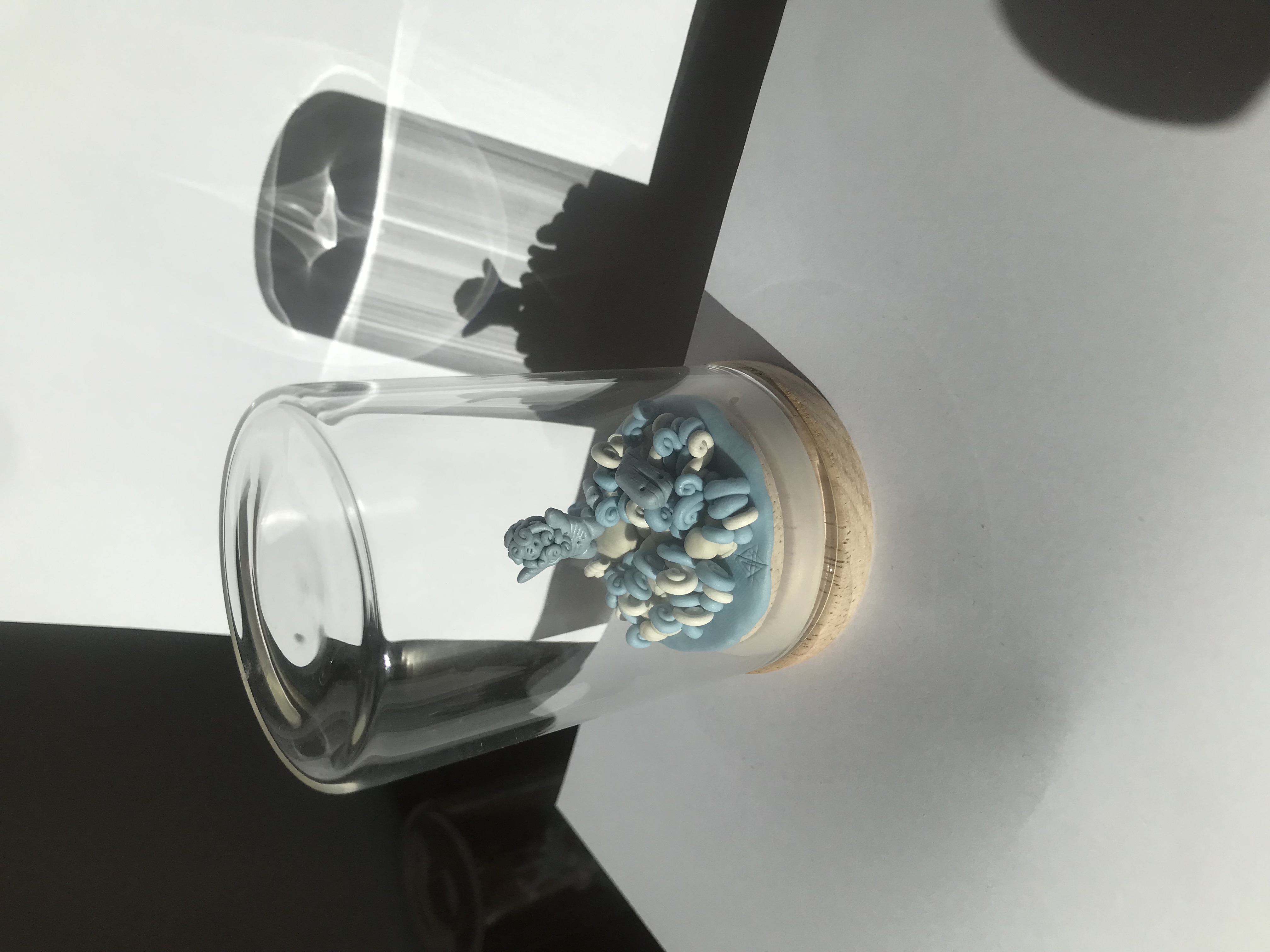 Le naufragé sauvé ou "voeux d'ex voto"