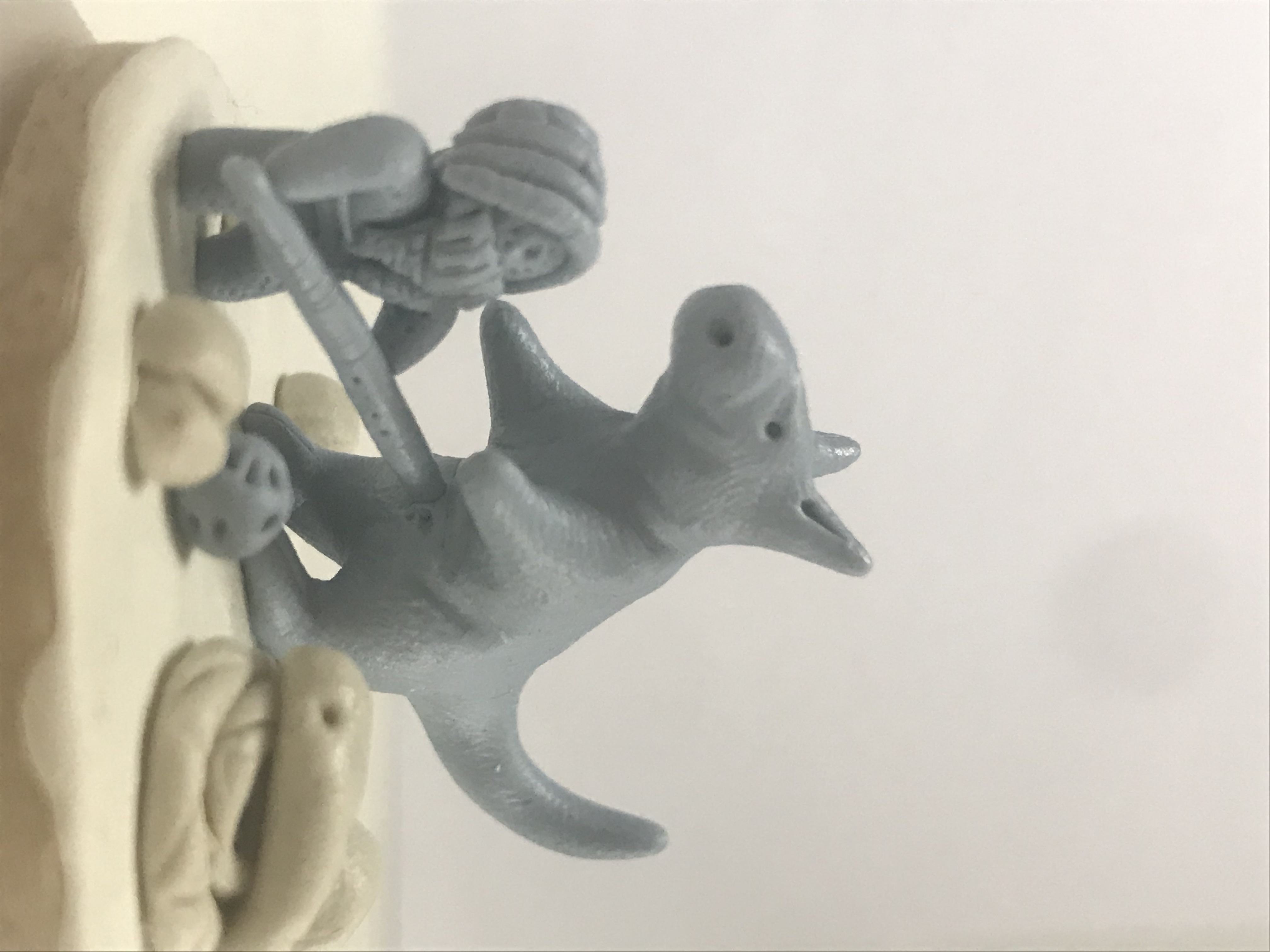 Chasse au kangourou géant