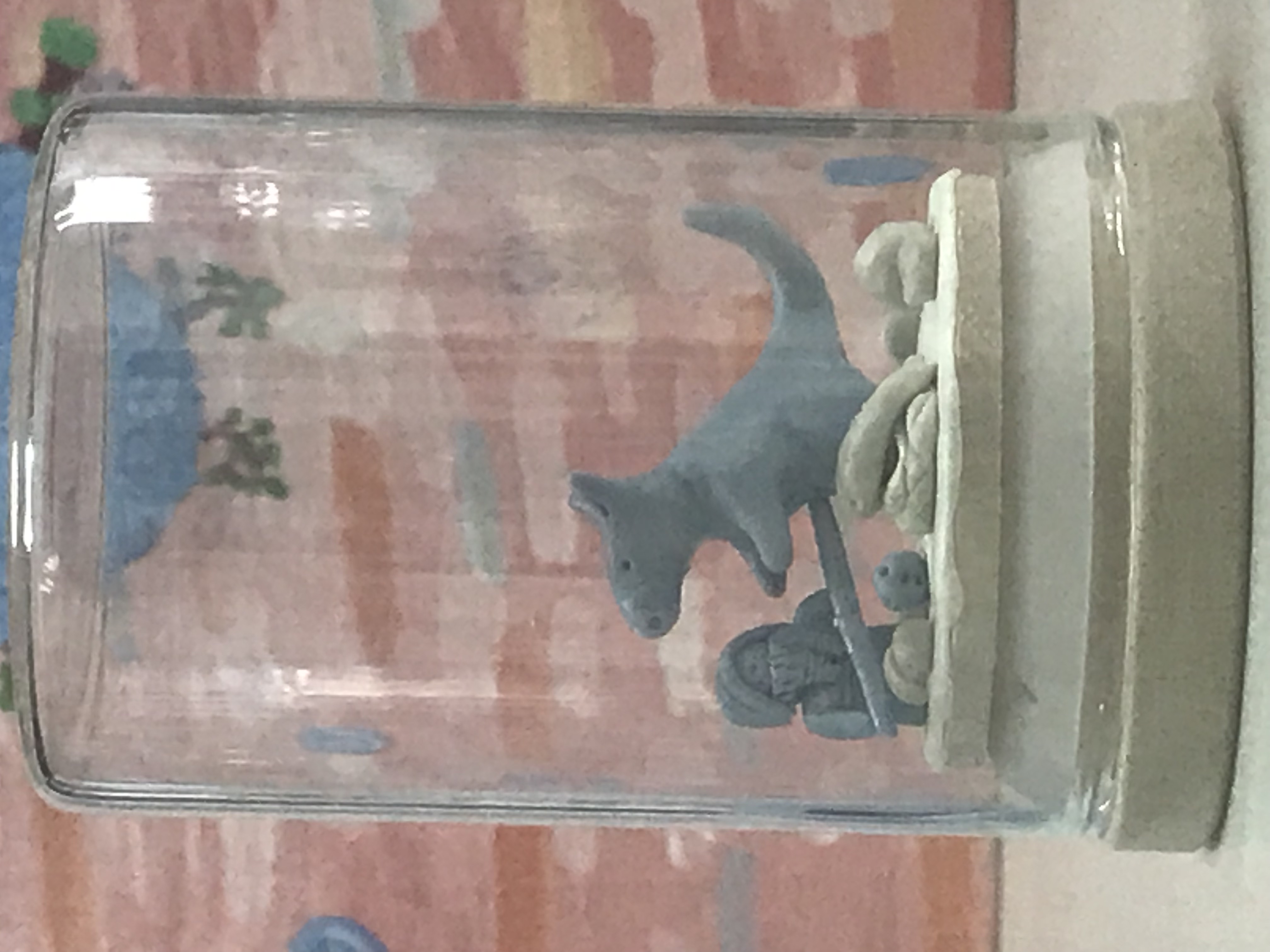 Chasse au kangourou géant