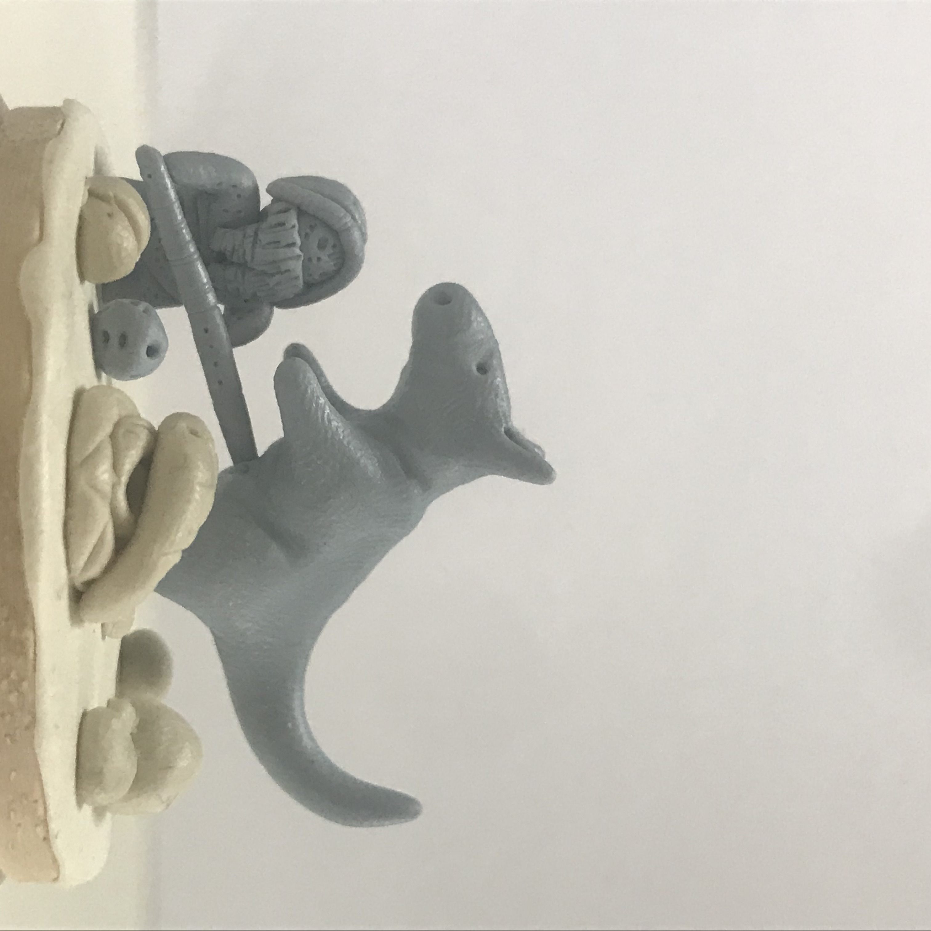 Chasse au kangourou géant