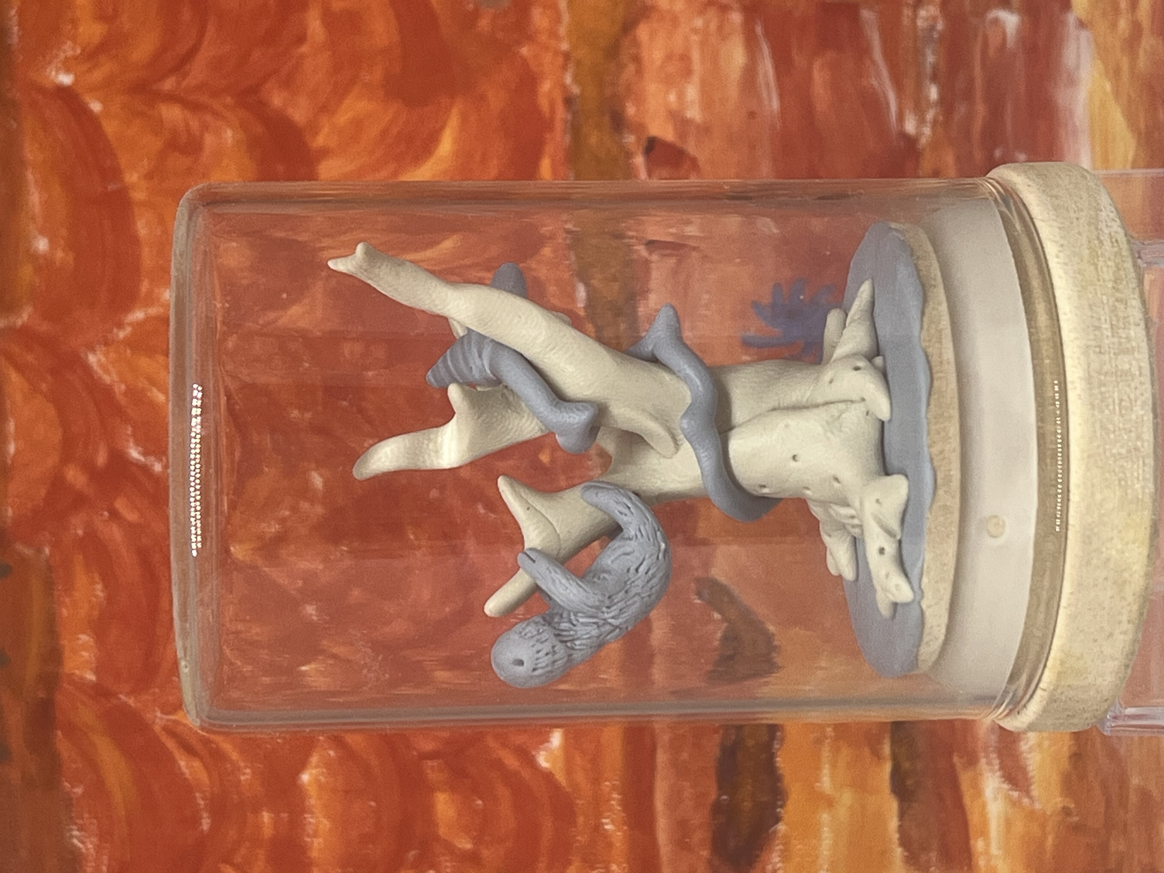 Arbre - V "au paresseux"