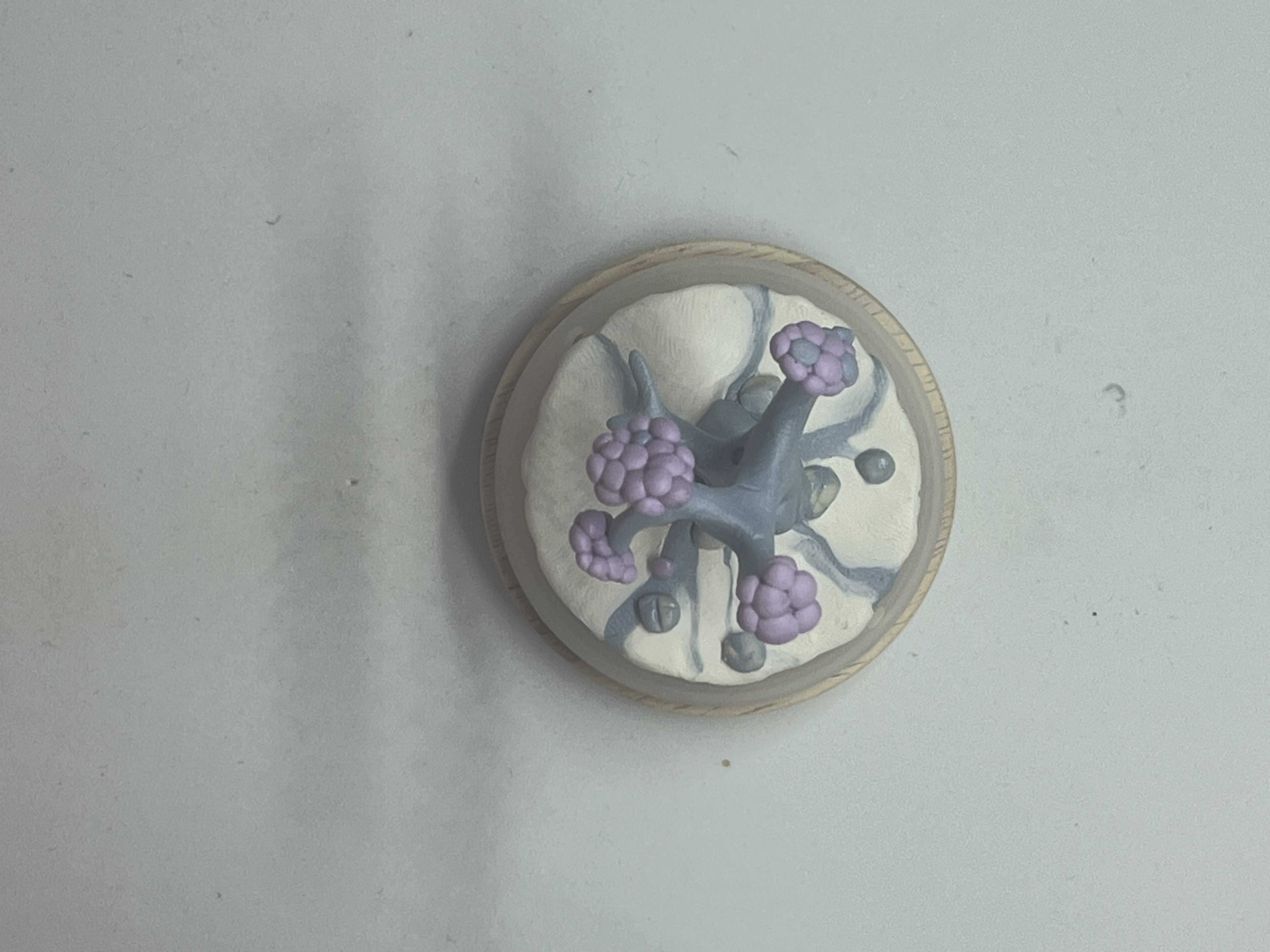 Arbre - VI "feuilles violettes"