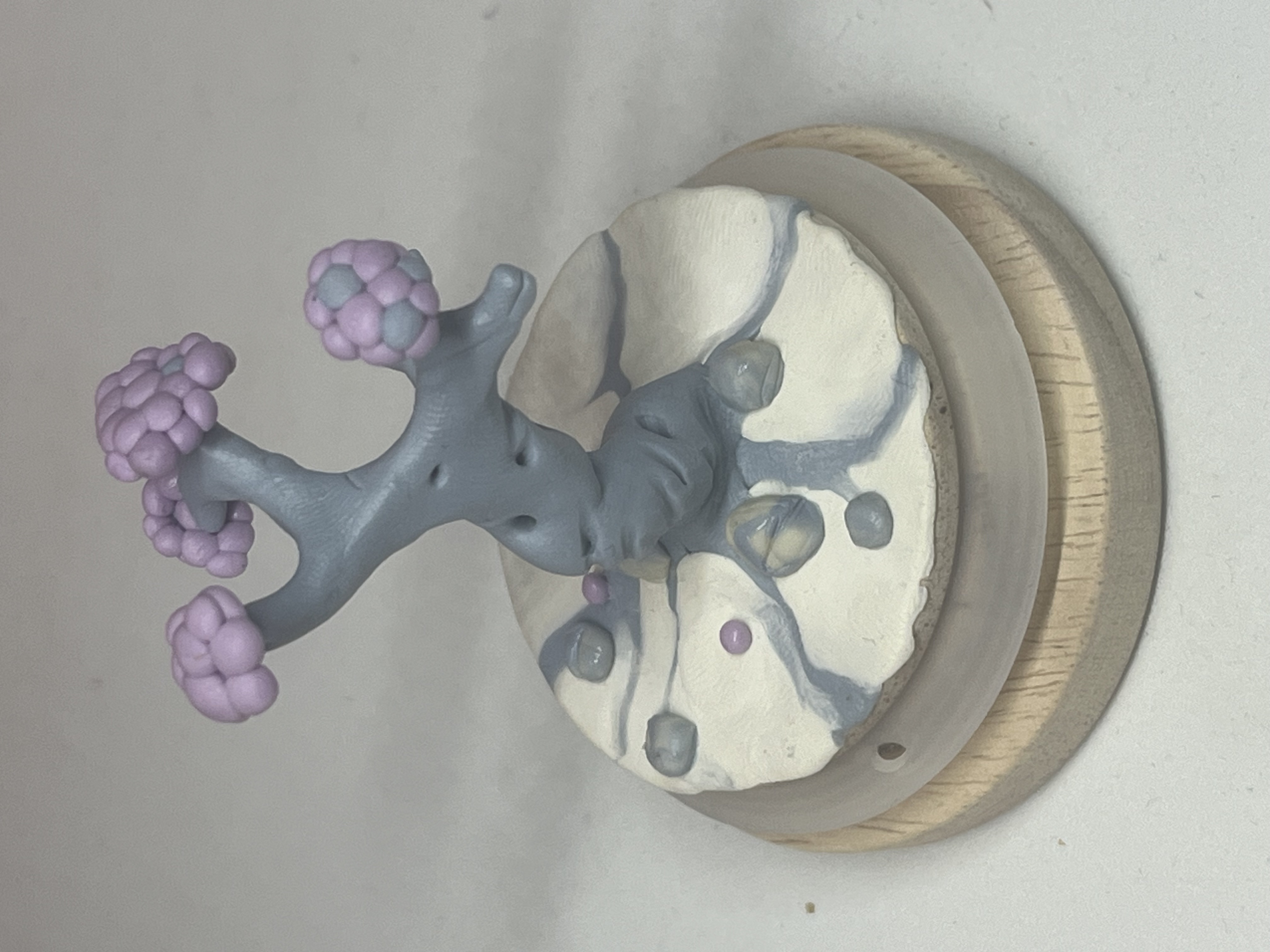 Arbre - VI "feuilles violettes"