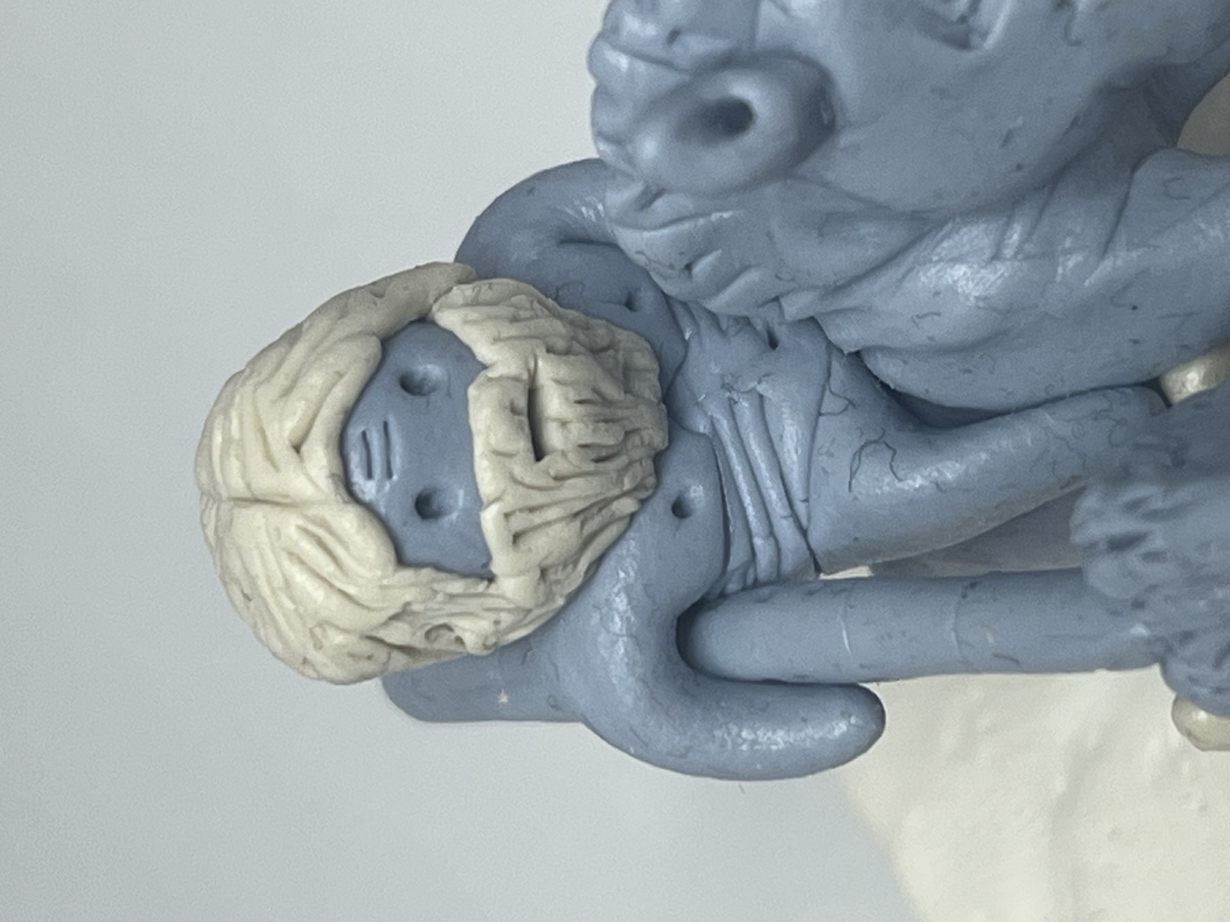 Chasse au sanglier à cheval