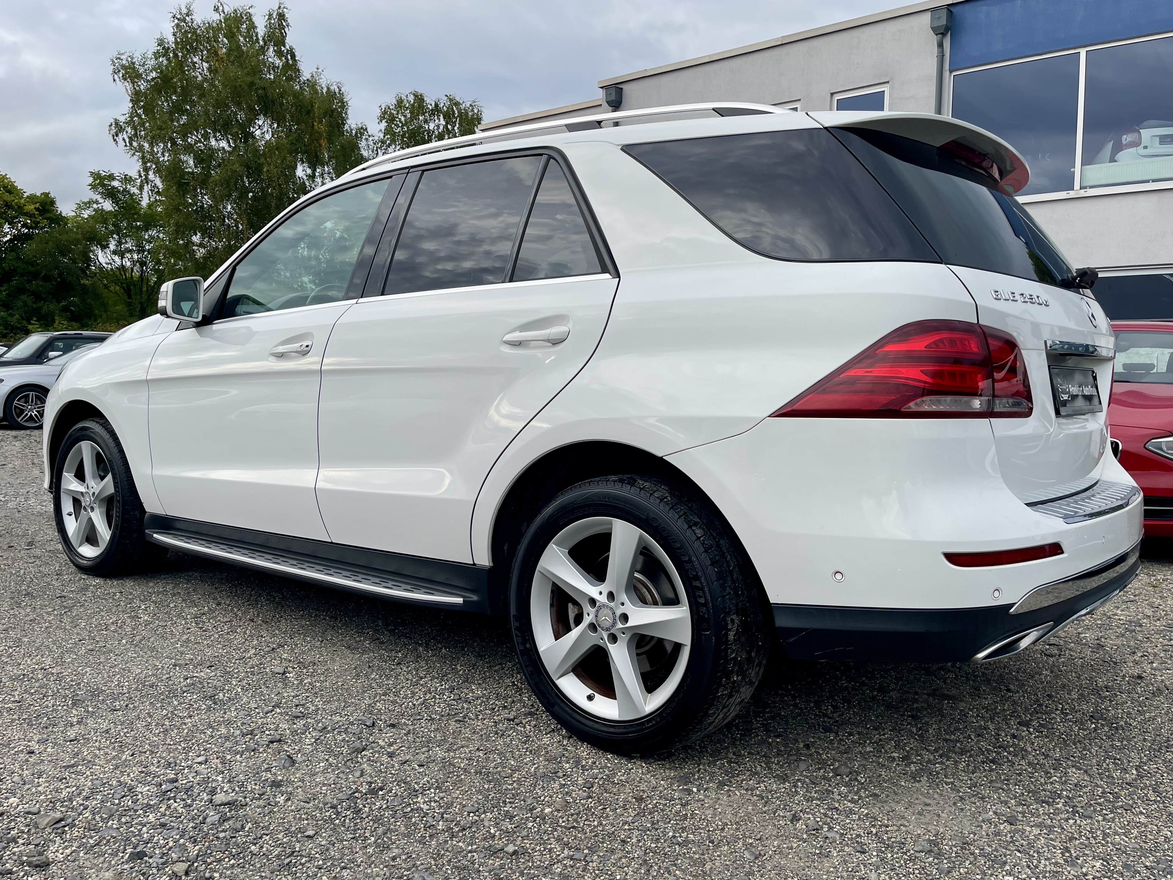  MERCEDES-BENZ GLE 250 d 4Matic 9G-TRONIC  (166)