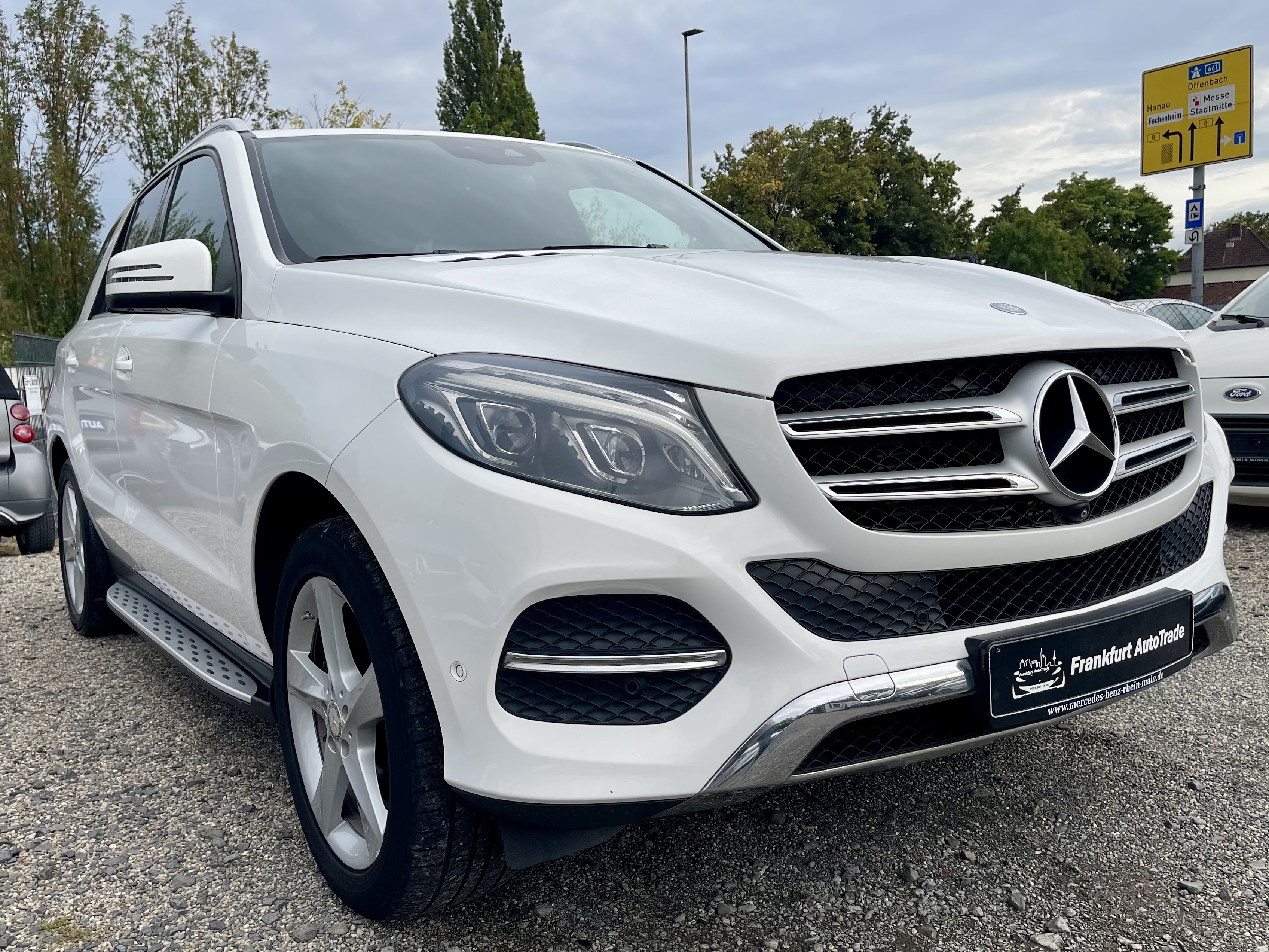  MERCEDES-BENZ GLE 250 d 4Matic 9G-TRONIC  (166)