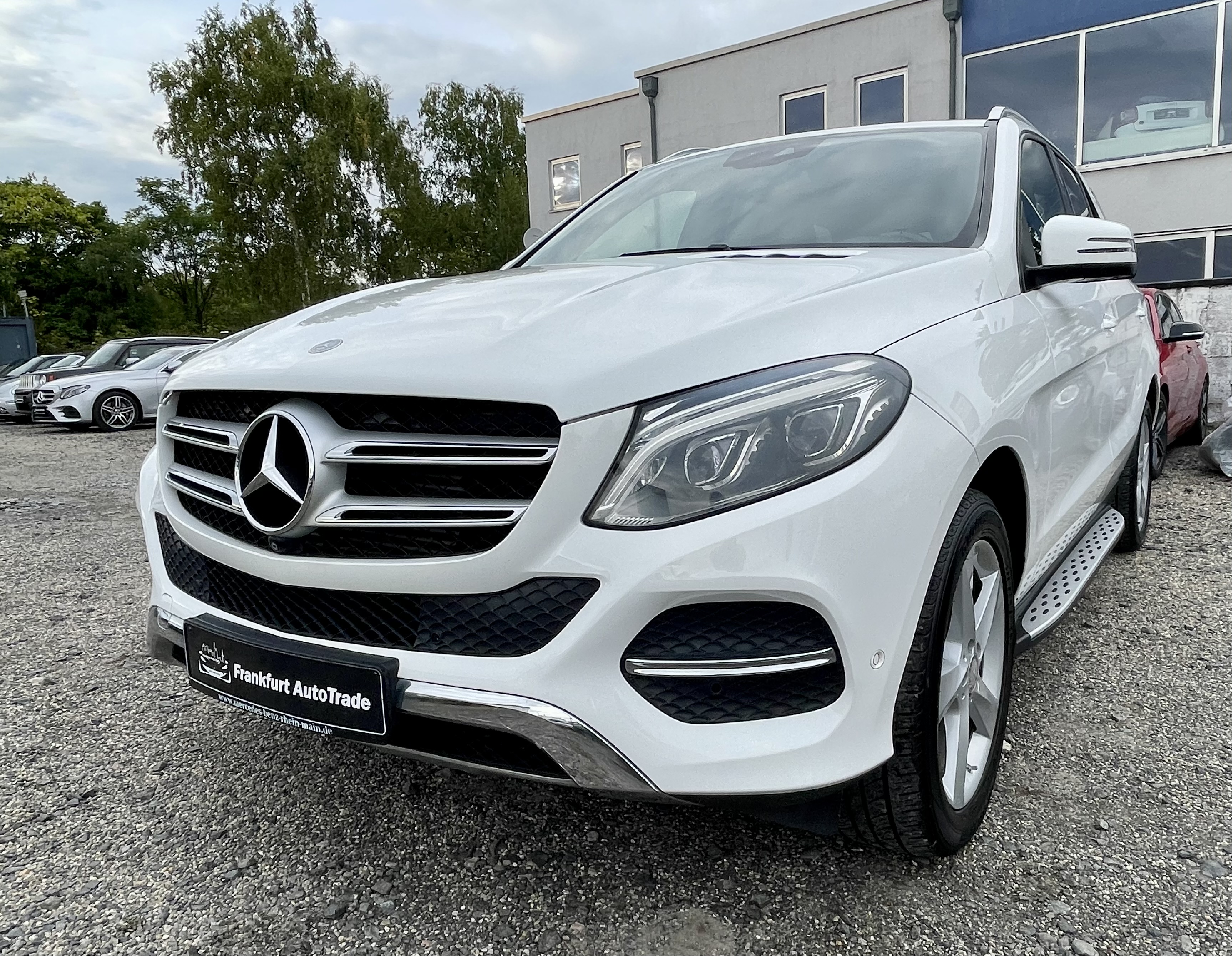  MERCEDES-BENZ GLE 250 d 4Matic 9G-TRONIC  (166)