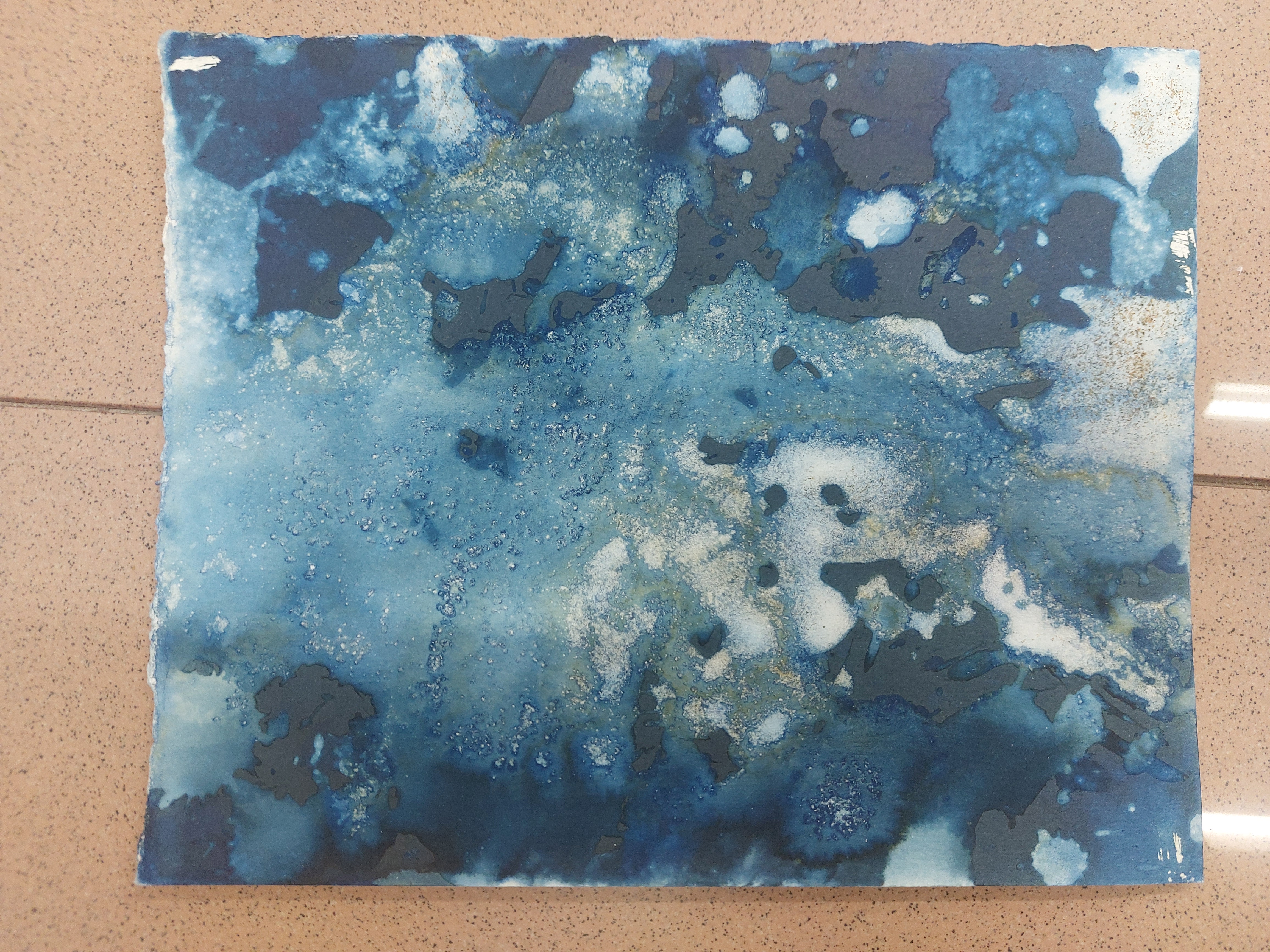 Workshop Cyanotypie (gevorderden)