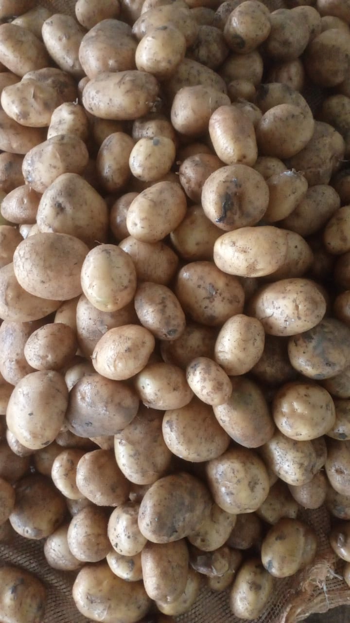 Potatoes