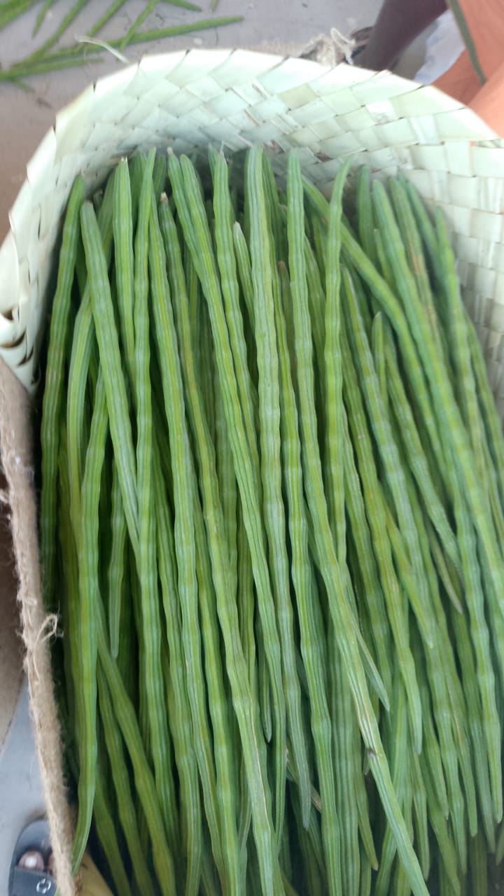 Fresh Drumsticks
